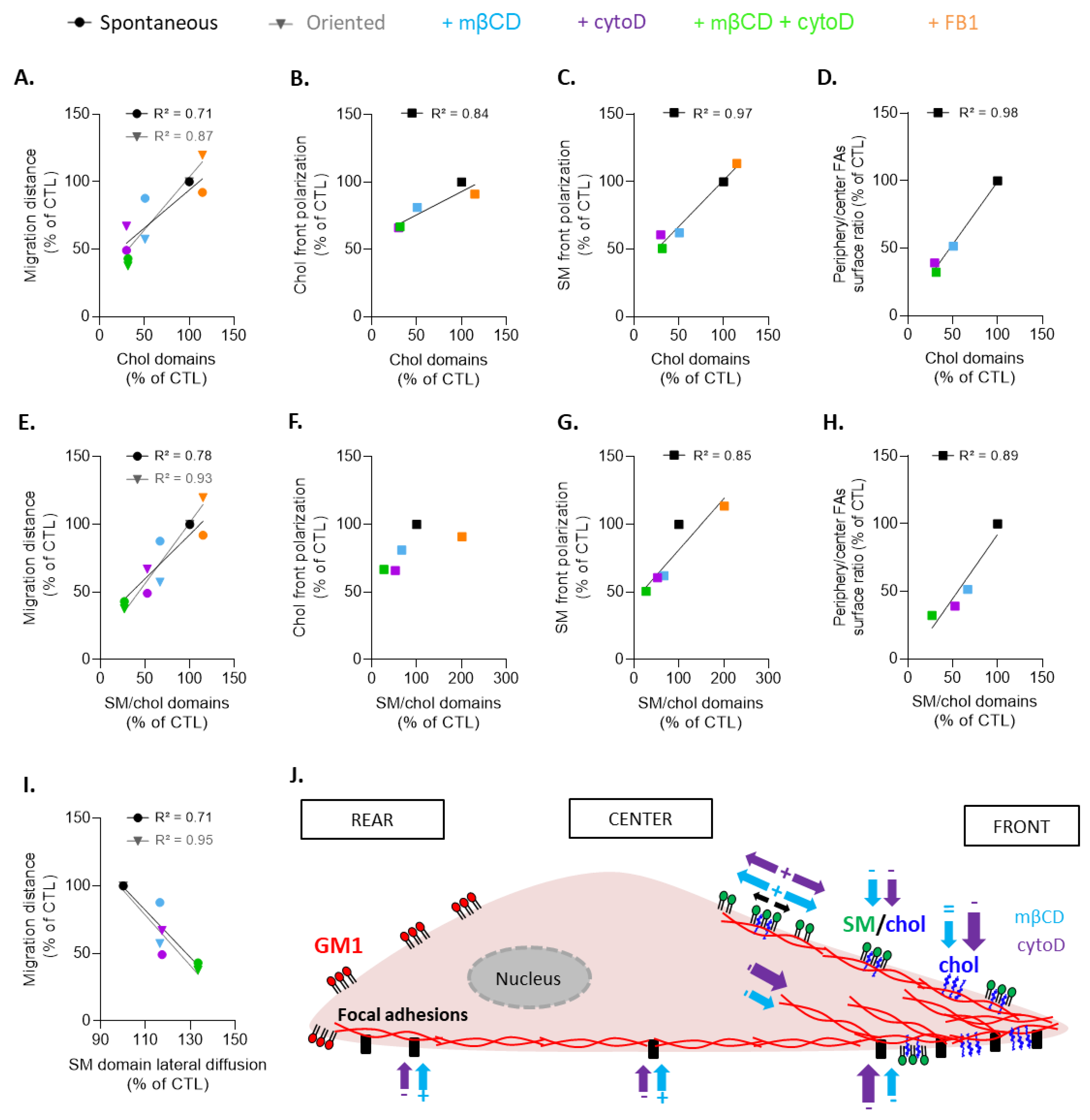 Biomolecules 13 00319 g011