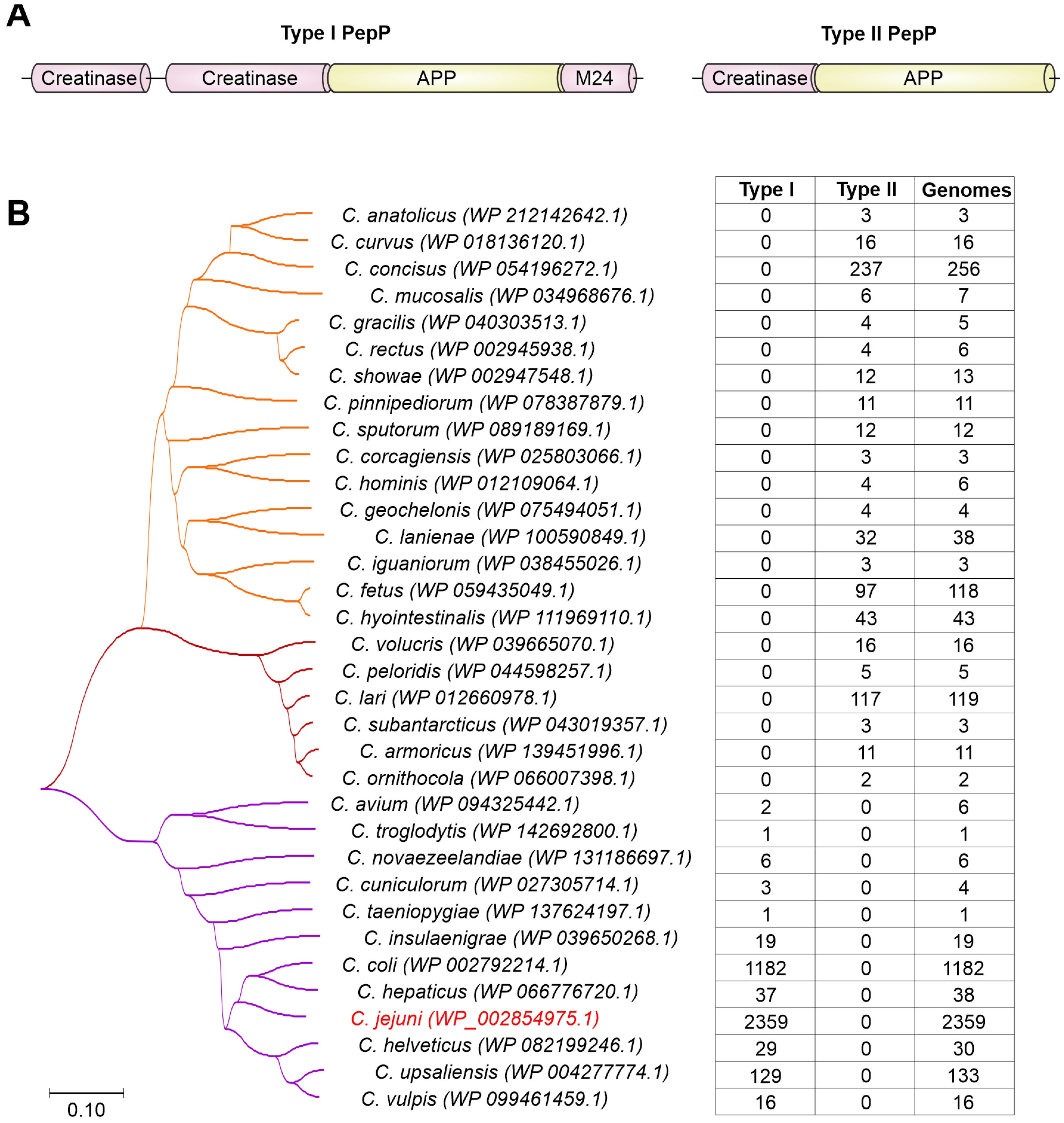 Biomolecules 13 00323 g001 Biomolecules 13 00323 g001