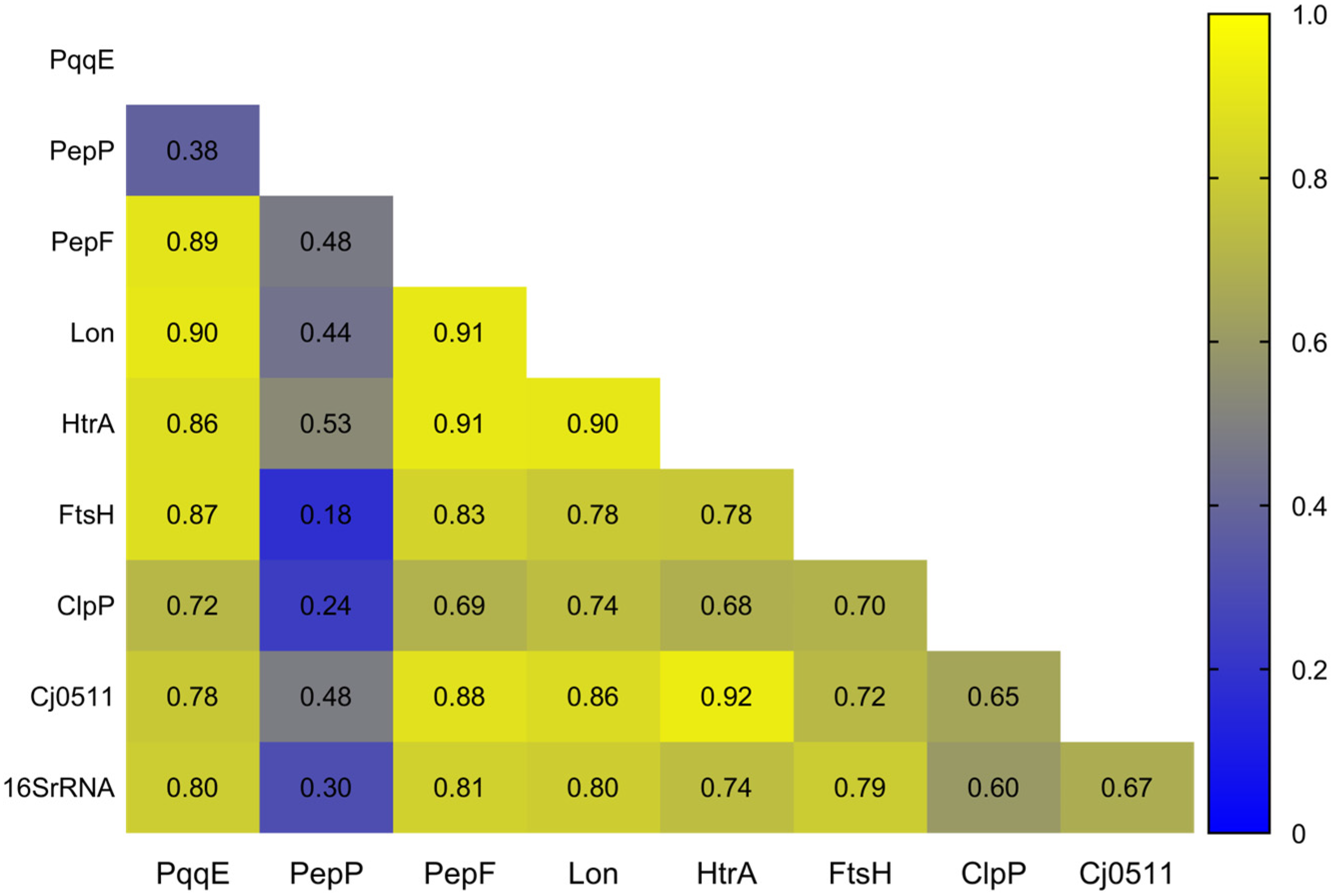 Biomolecules 13 00323 g002 Biomolecules 13 00323 g002