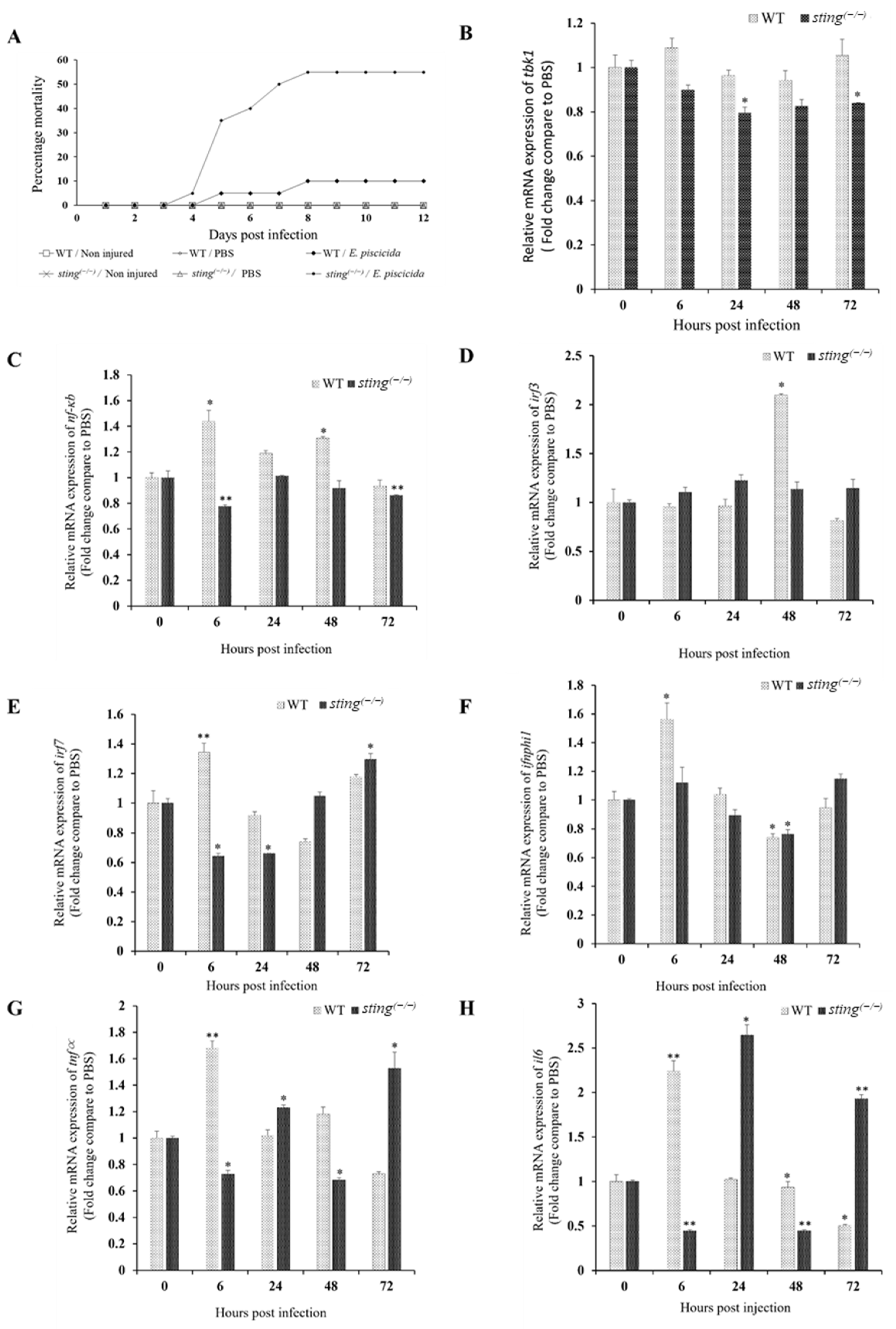Biomolecules 13 00324 g004