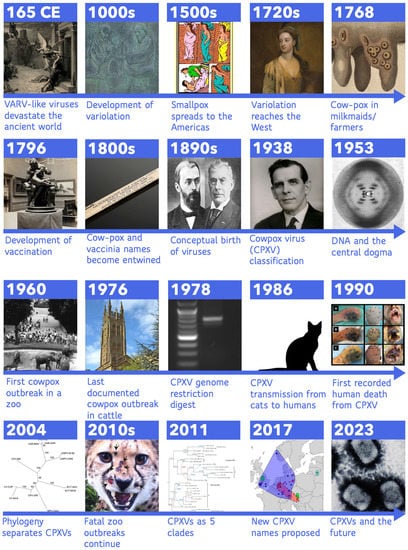 Biomolecules 13 00325 g001