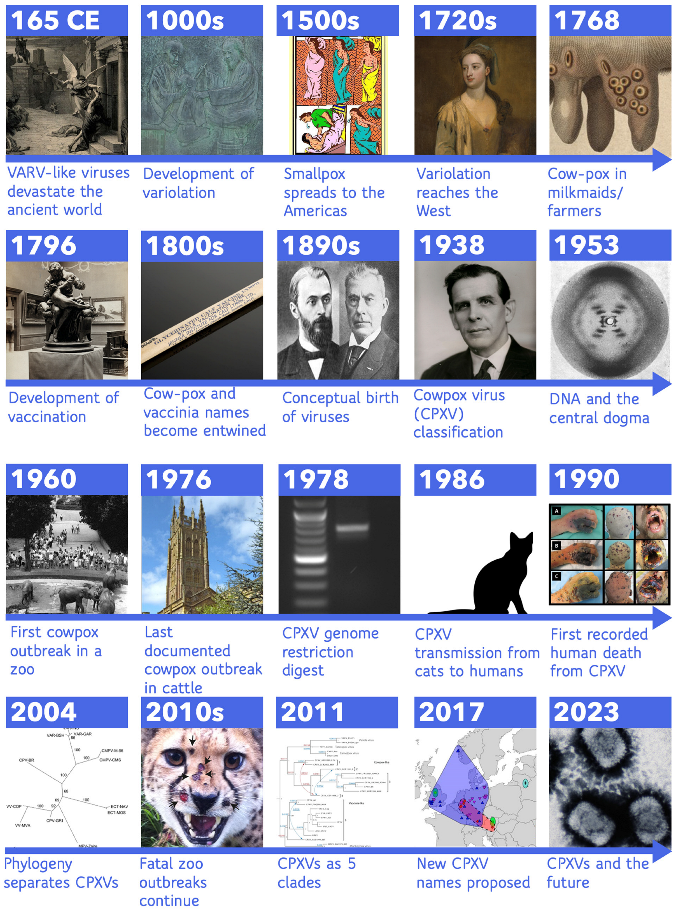 Biomolecules 13 00325 g001 Biomolecules 13 00325 g001