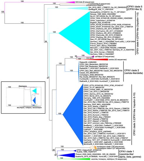 Biomolecules 13 00325 g002