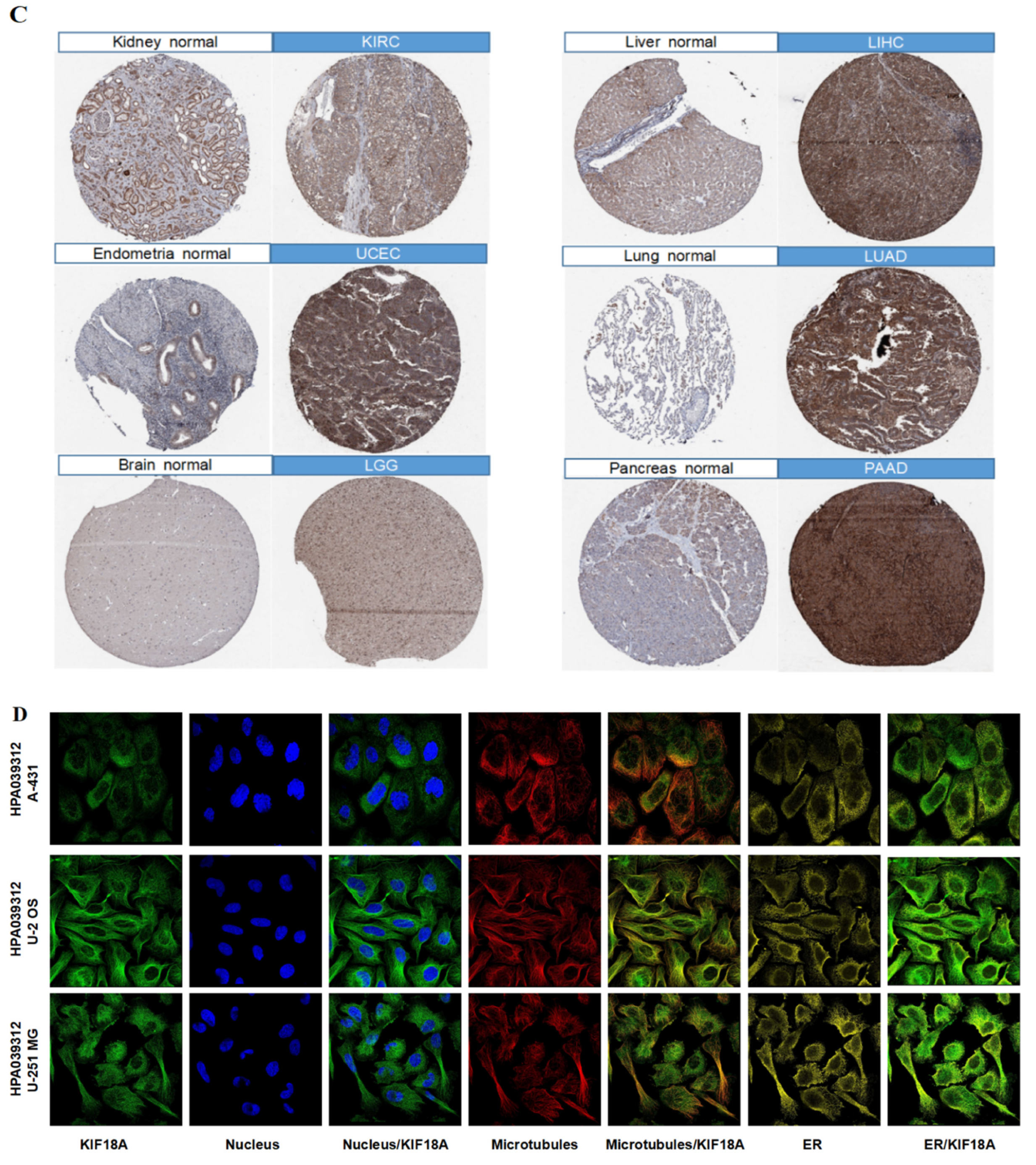 Biomolecules 13 00326 g001b