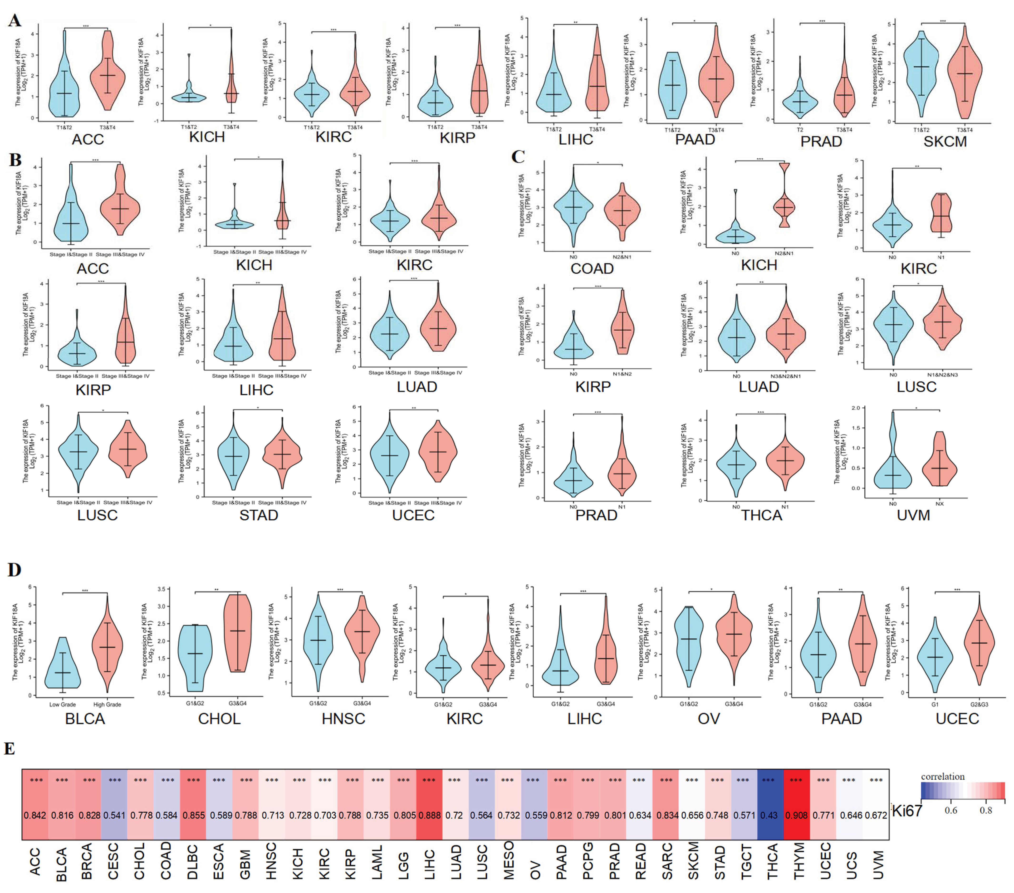 Biomolecules 13 00326 g002