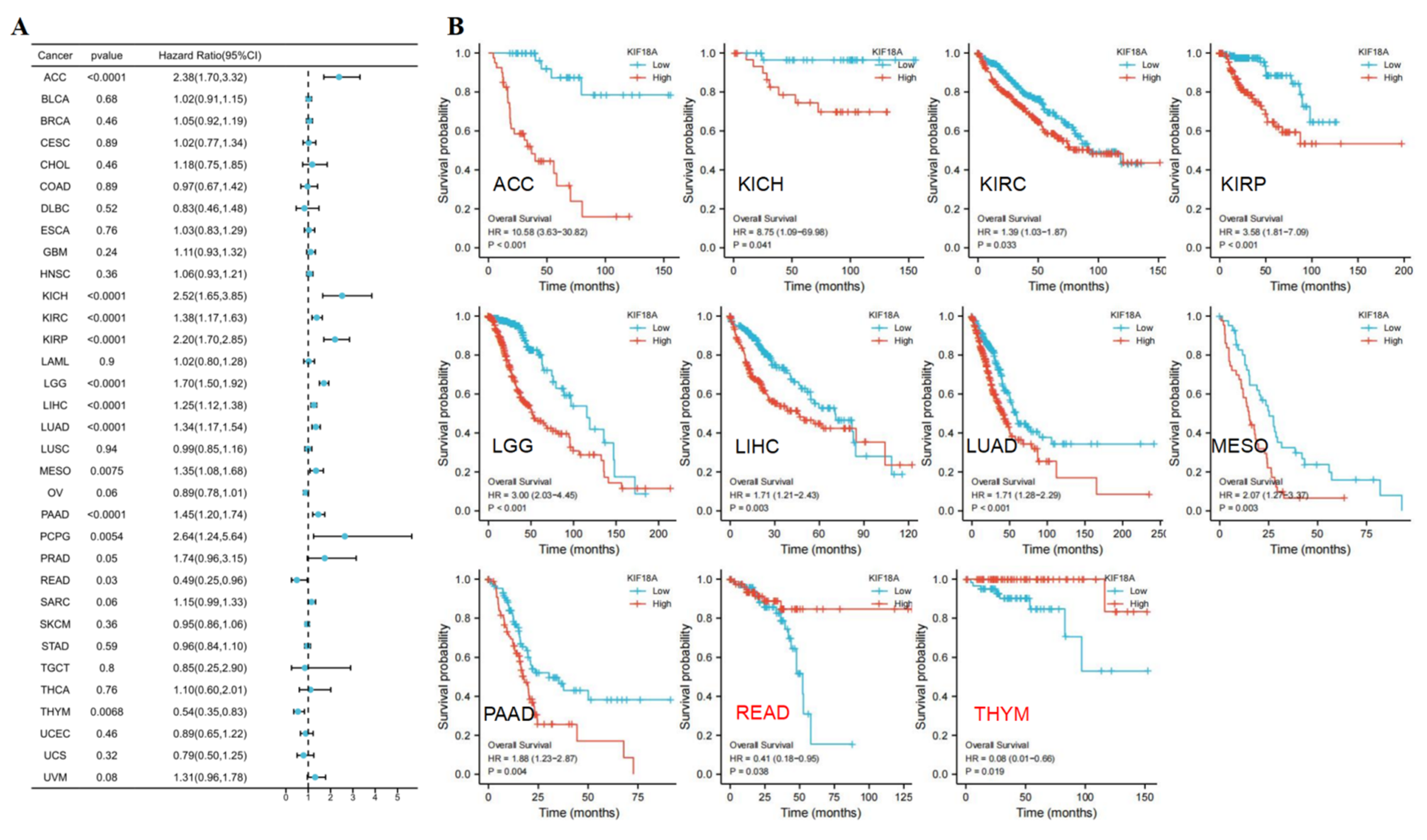 Biomolecules 13 00326 g003a