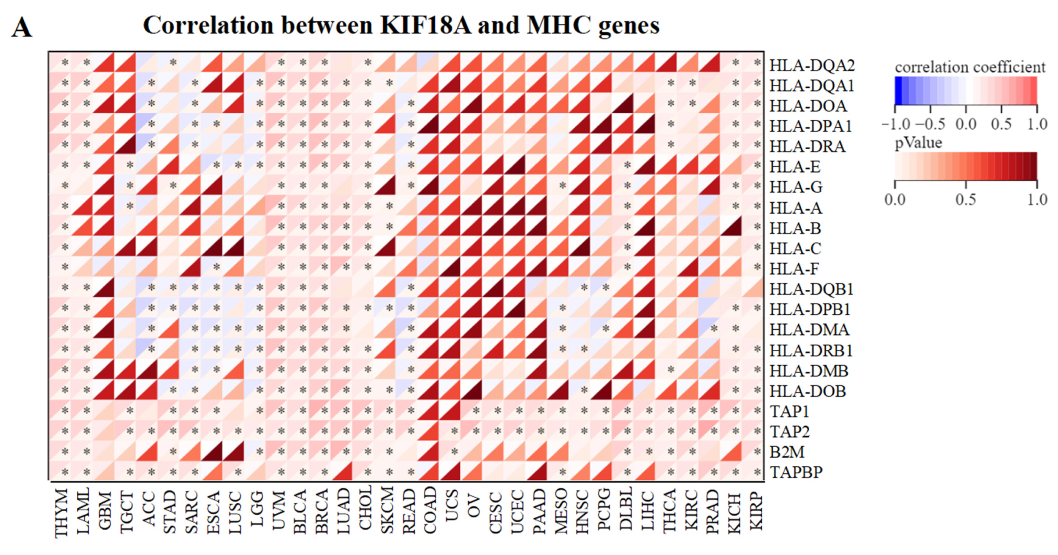 Biomolecules 13 00326 g005a
