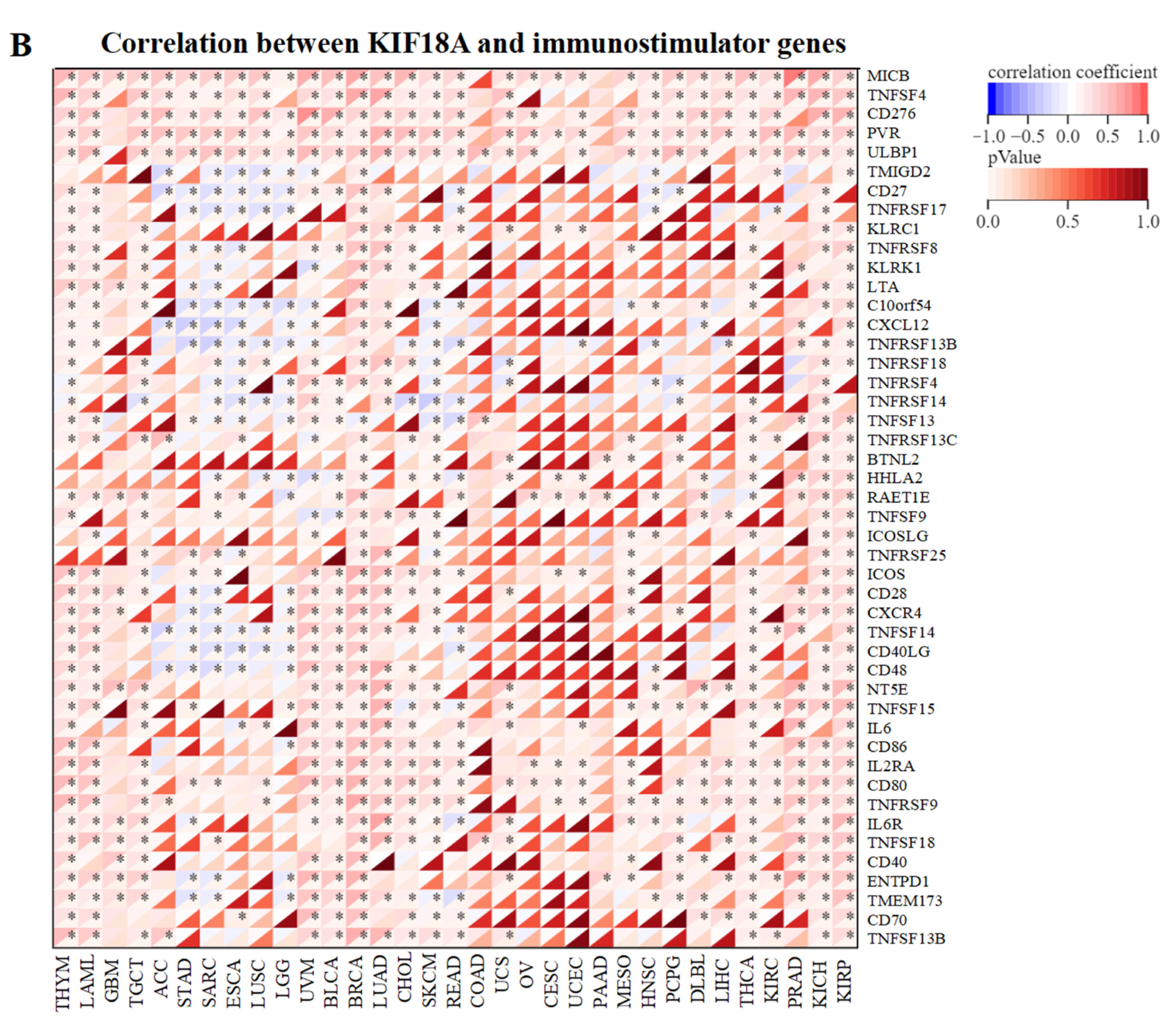 Biomolecules 13 00326 g005b