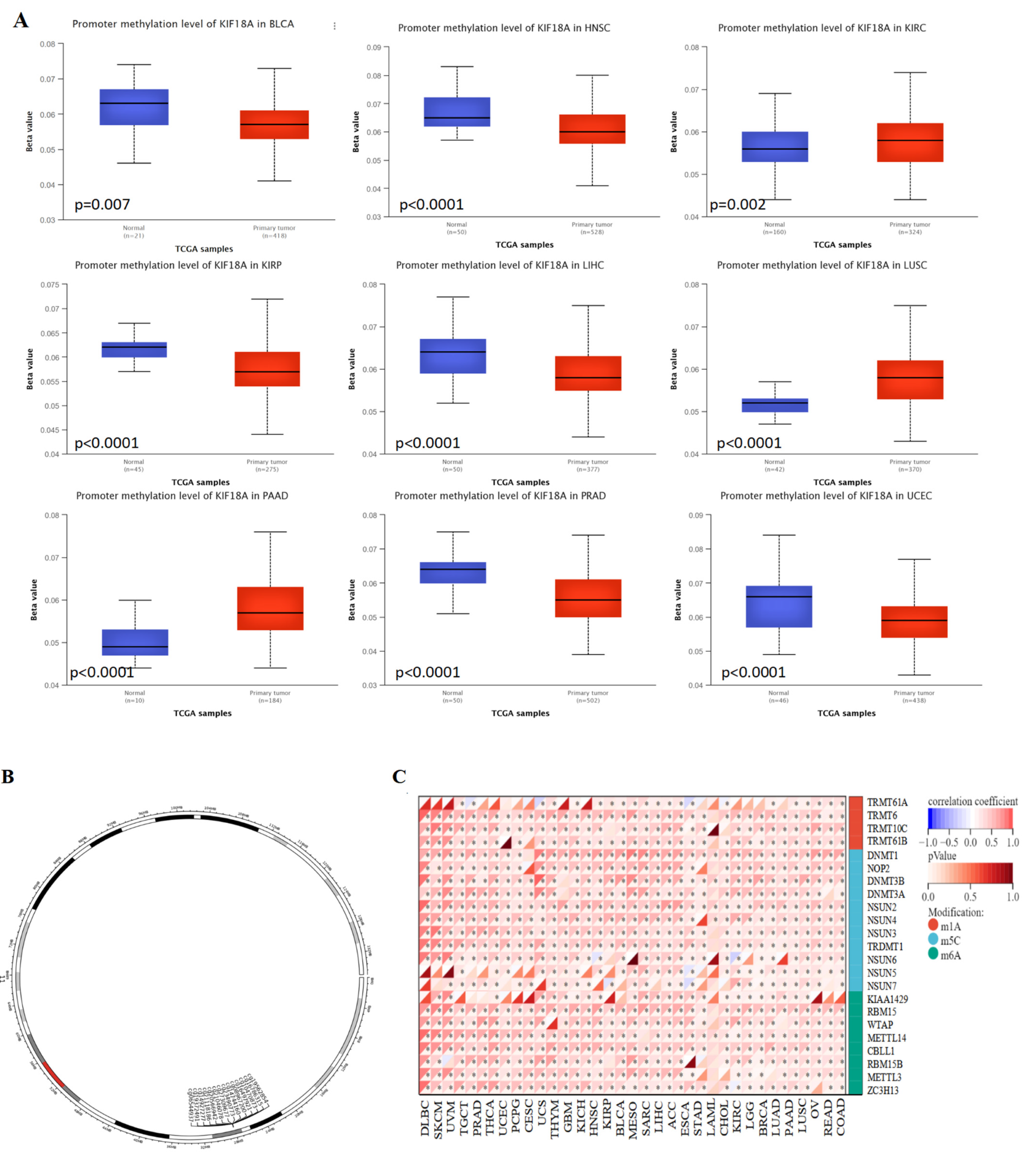 Biomolecules 13 00326 g008