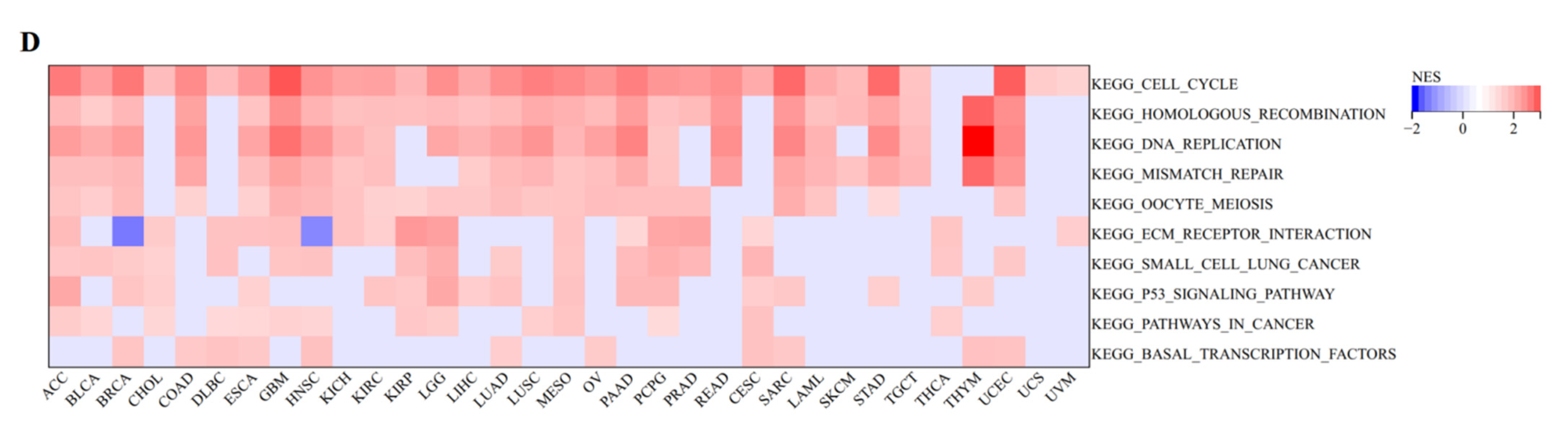 Biomolecules 13 00326 g011b