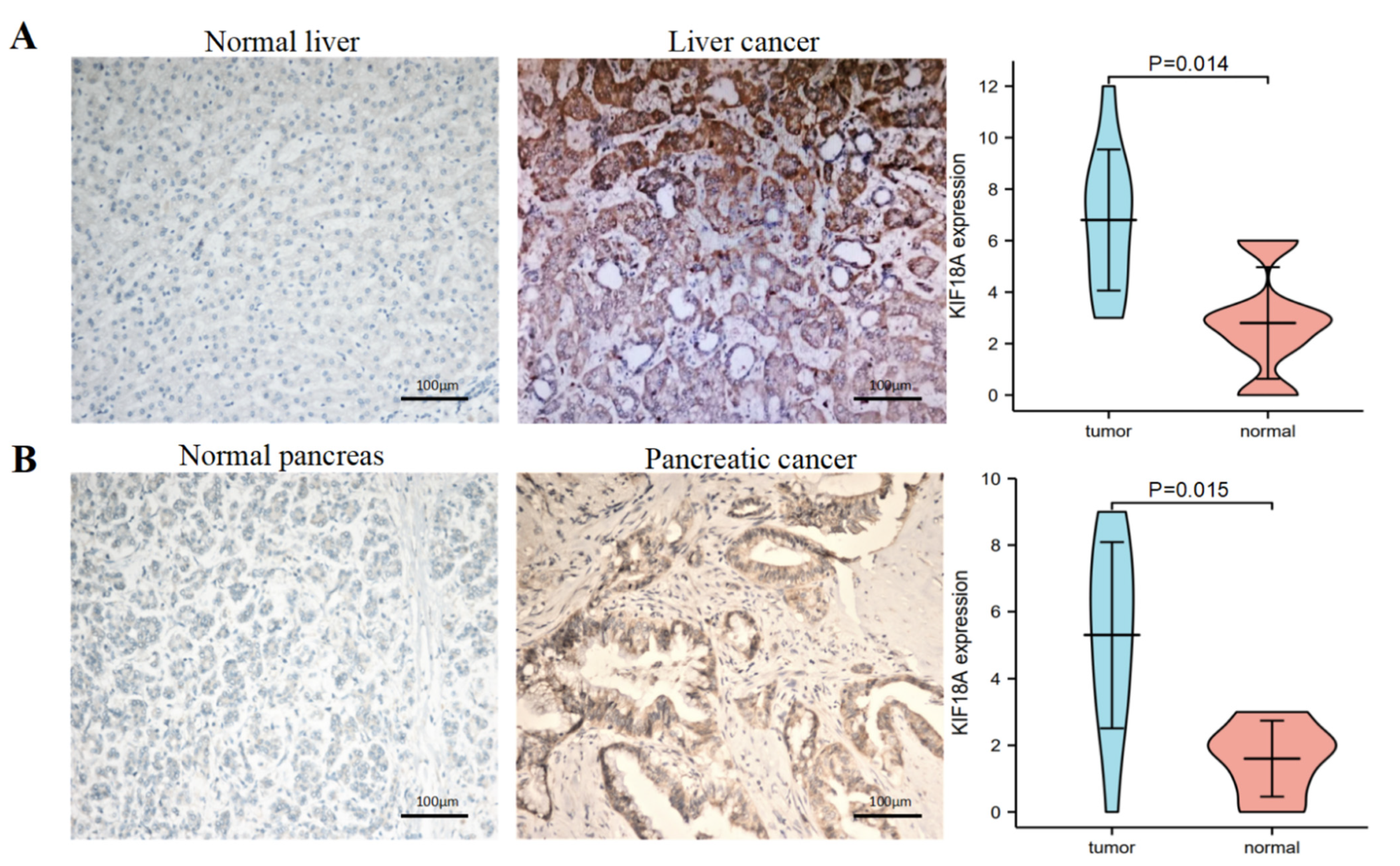 Biomolecules 13 00326 g012