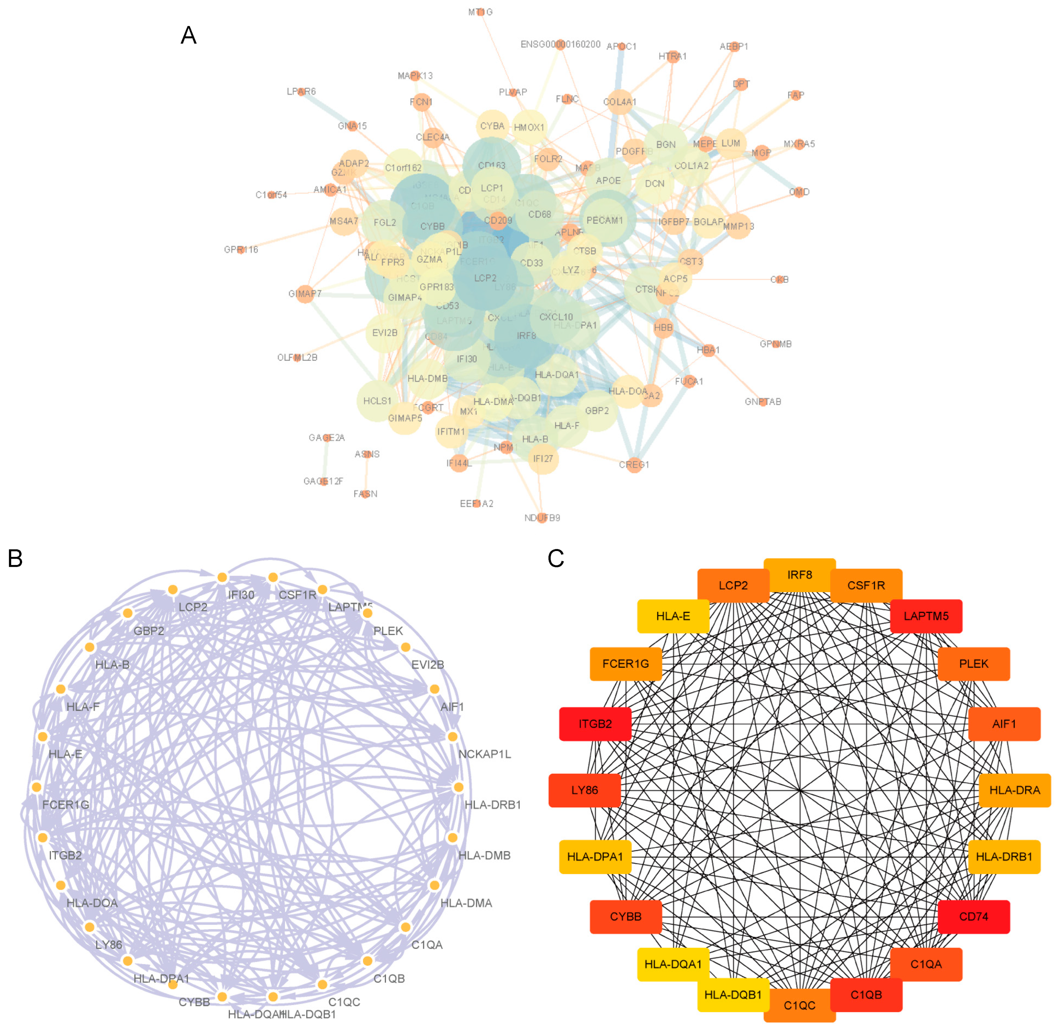 Biomolecules 13 00327 g003