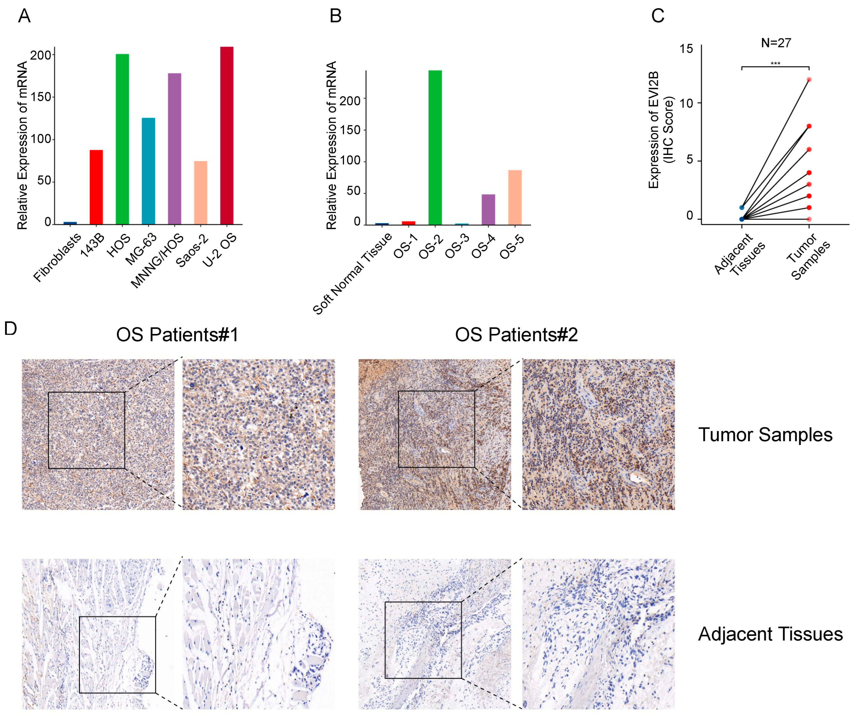 Biomolecules 13 00327 g007