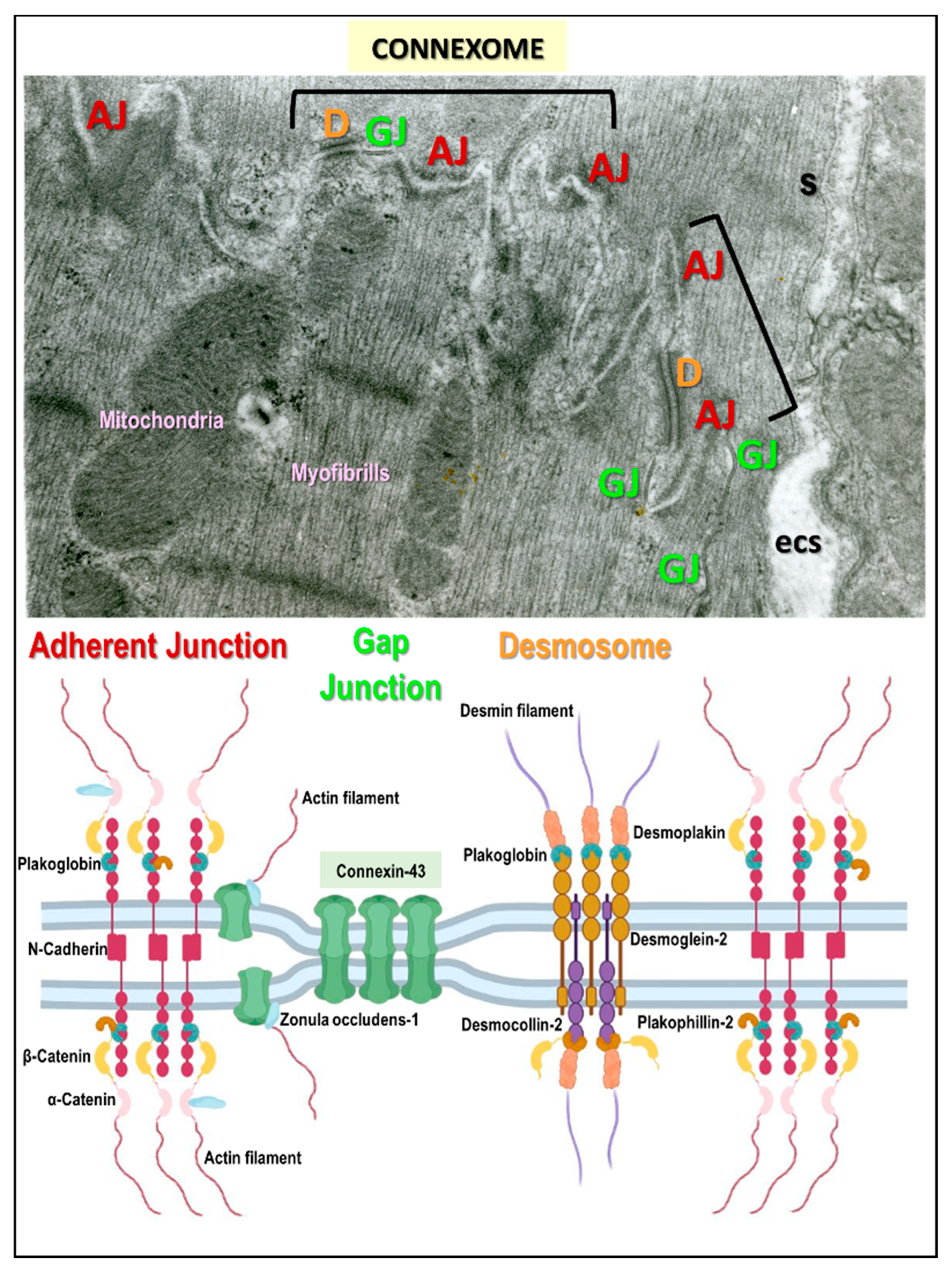 Biomolecules 13 00330 g001