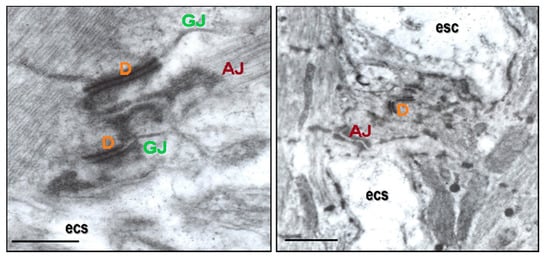 Biomolecules 13 00330 g002