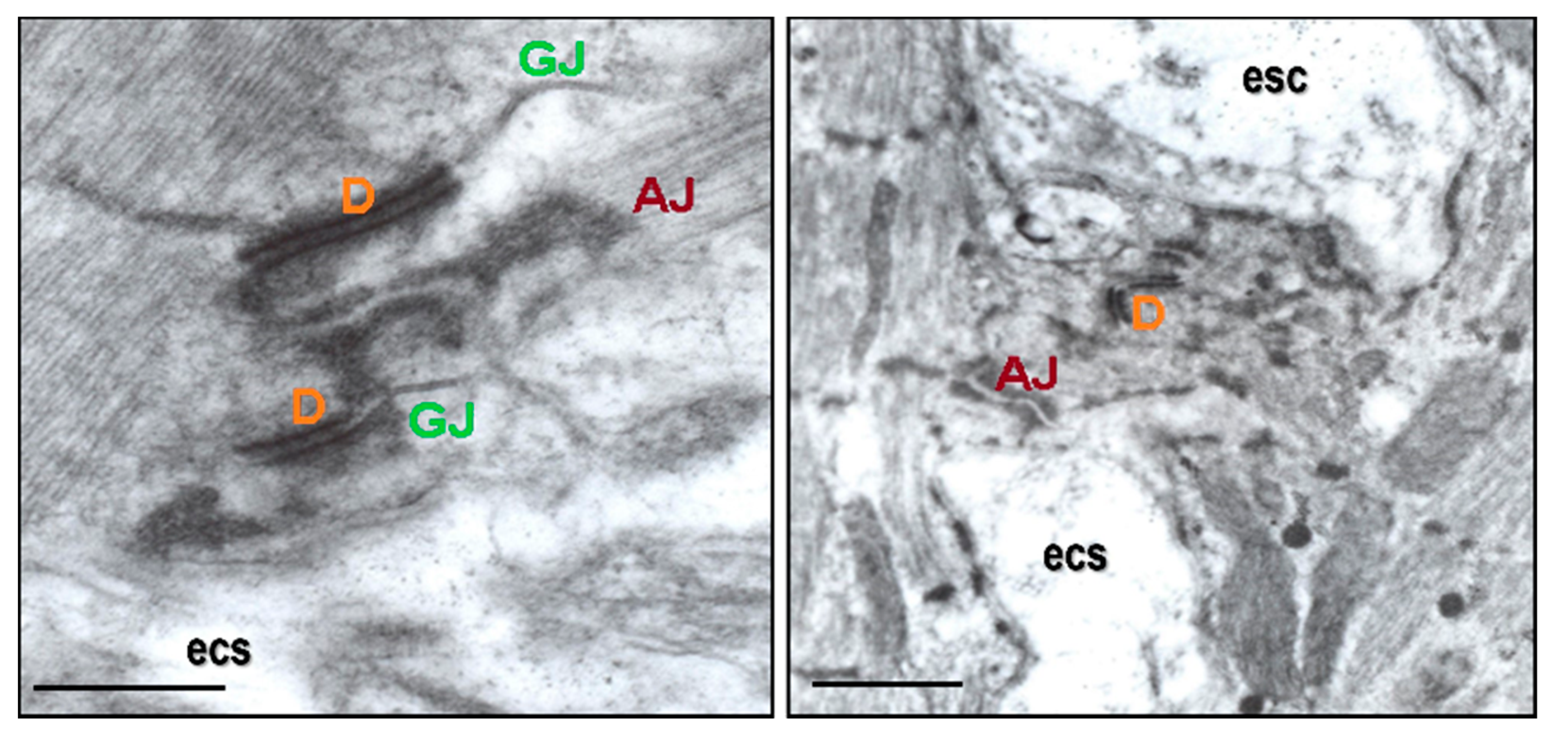 Biomolecules 13 00330 g002