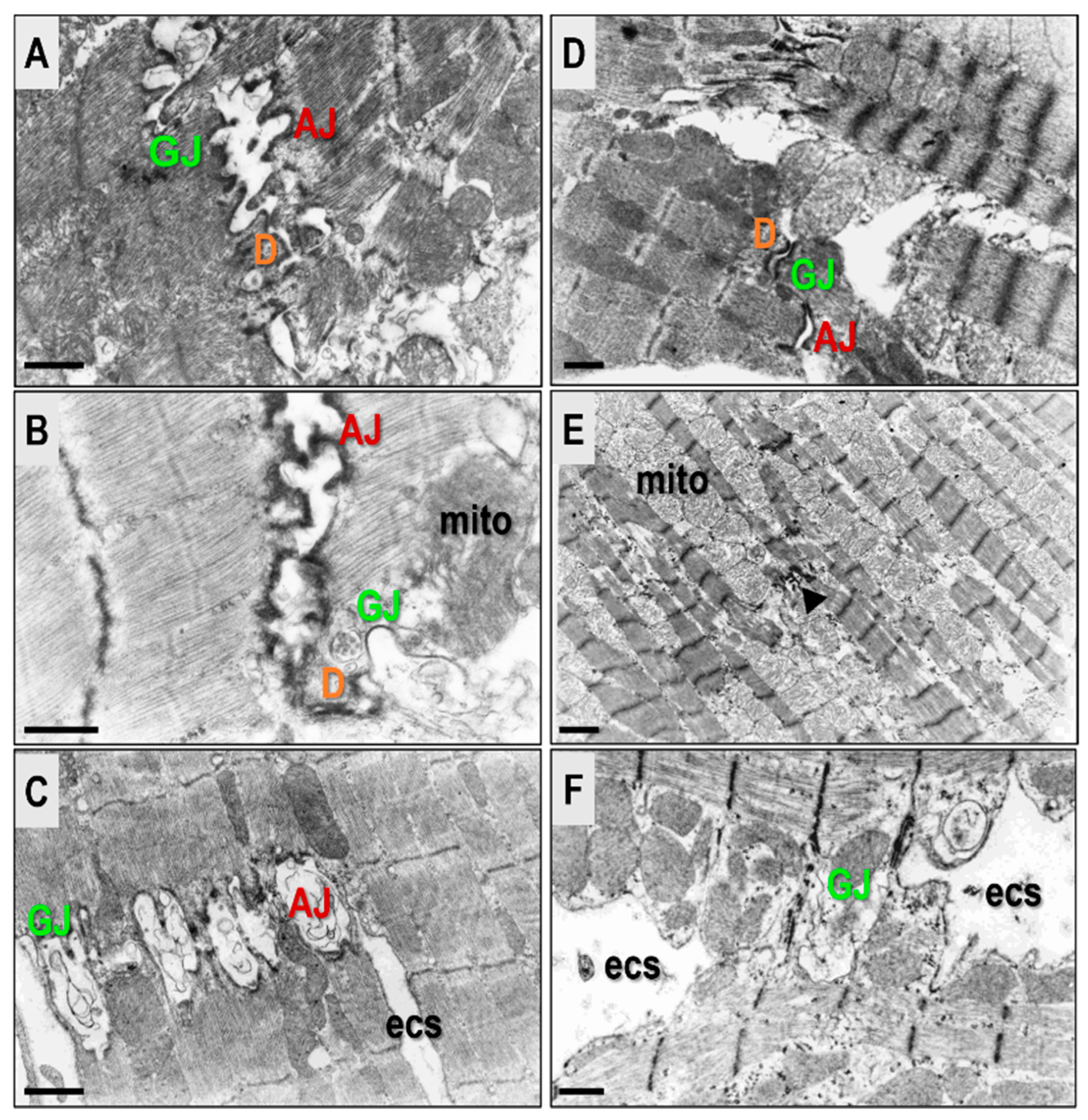 Biomolecules 13 00330 g006