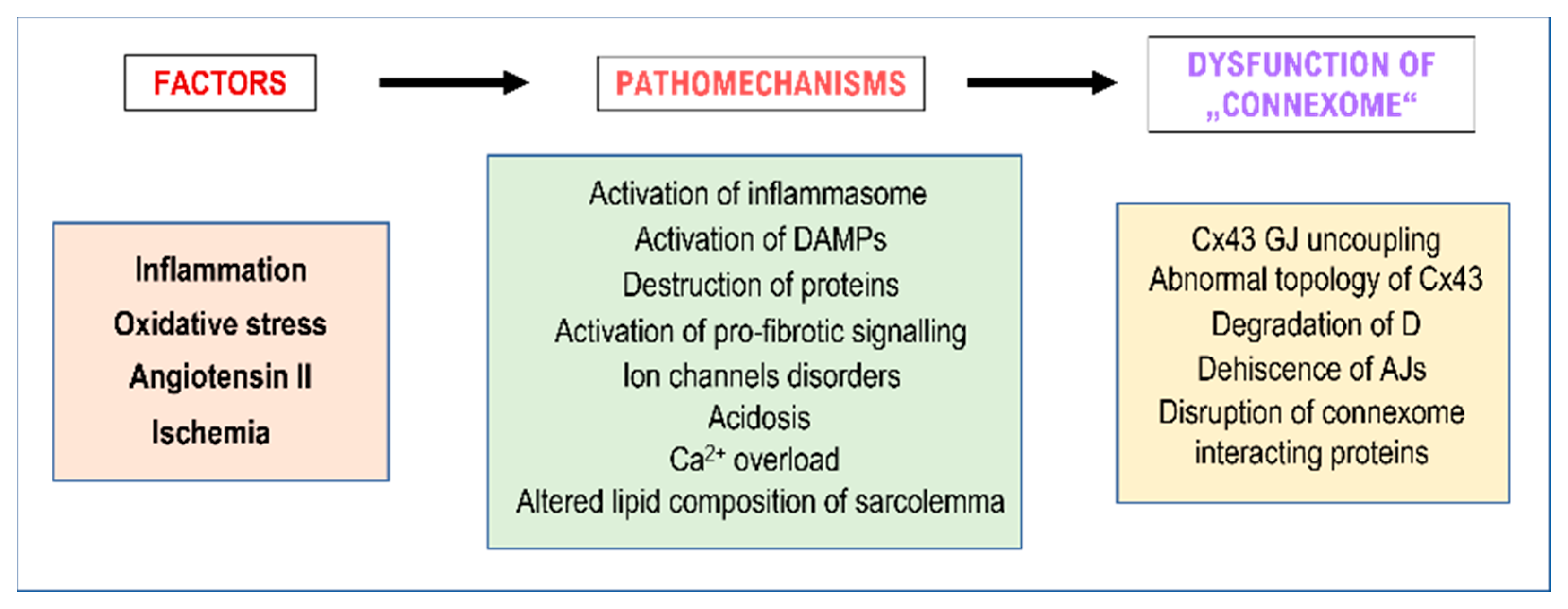 Biomolecules 13 00330 g007