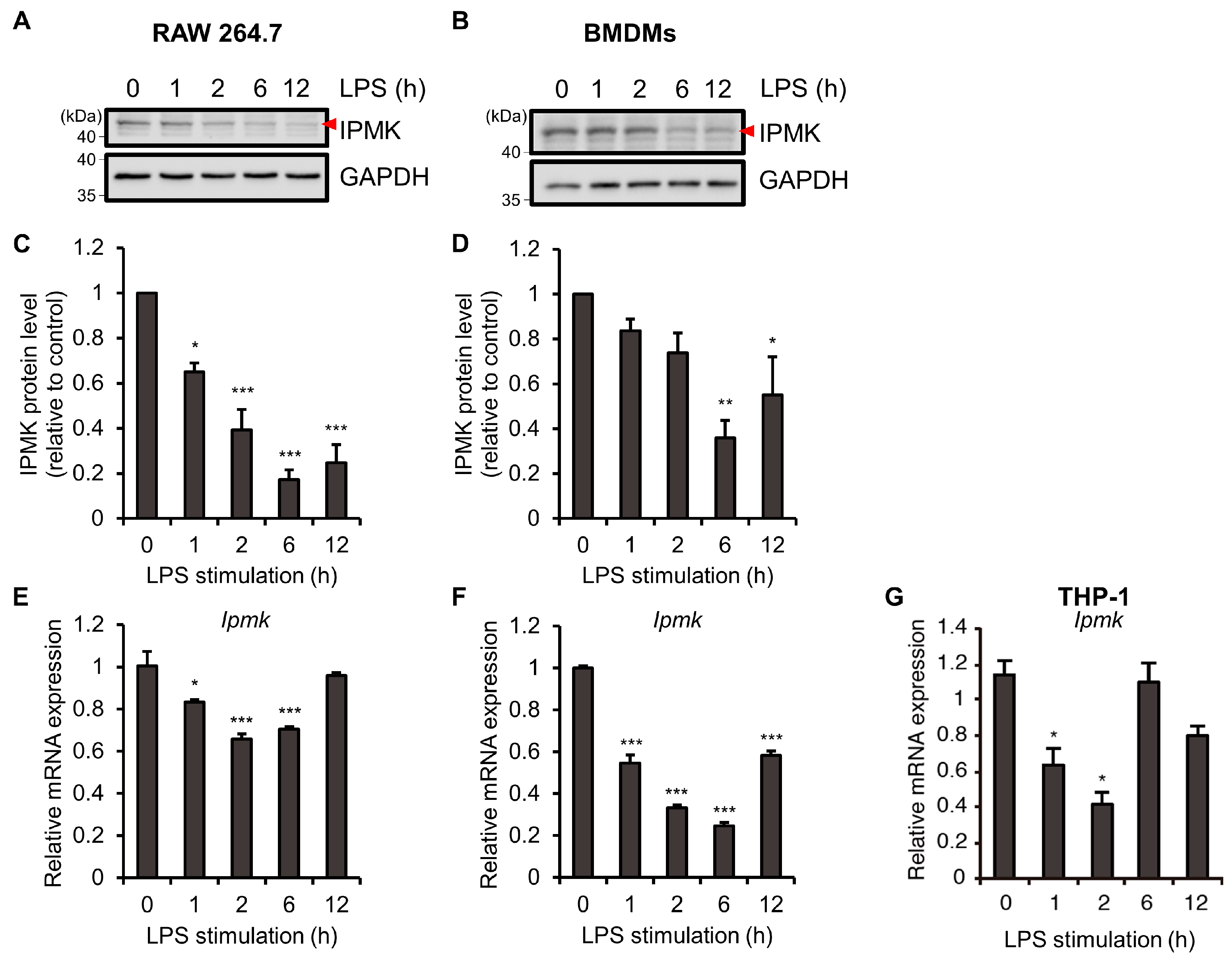 Biomolecules 13 00332 g001