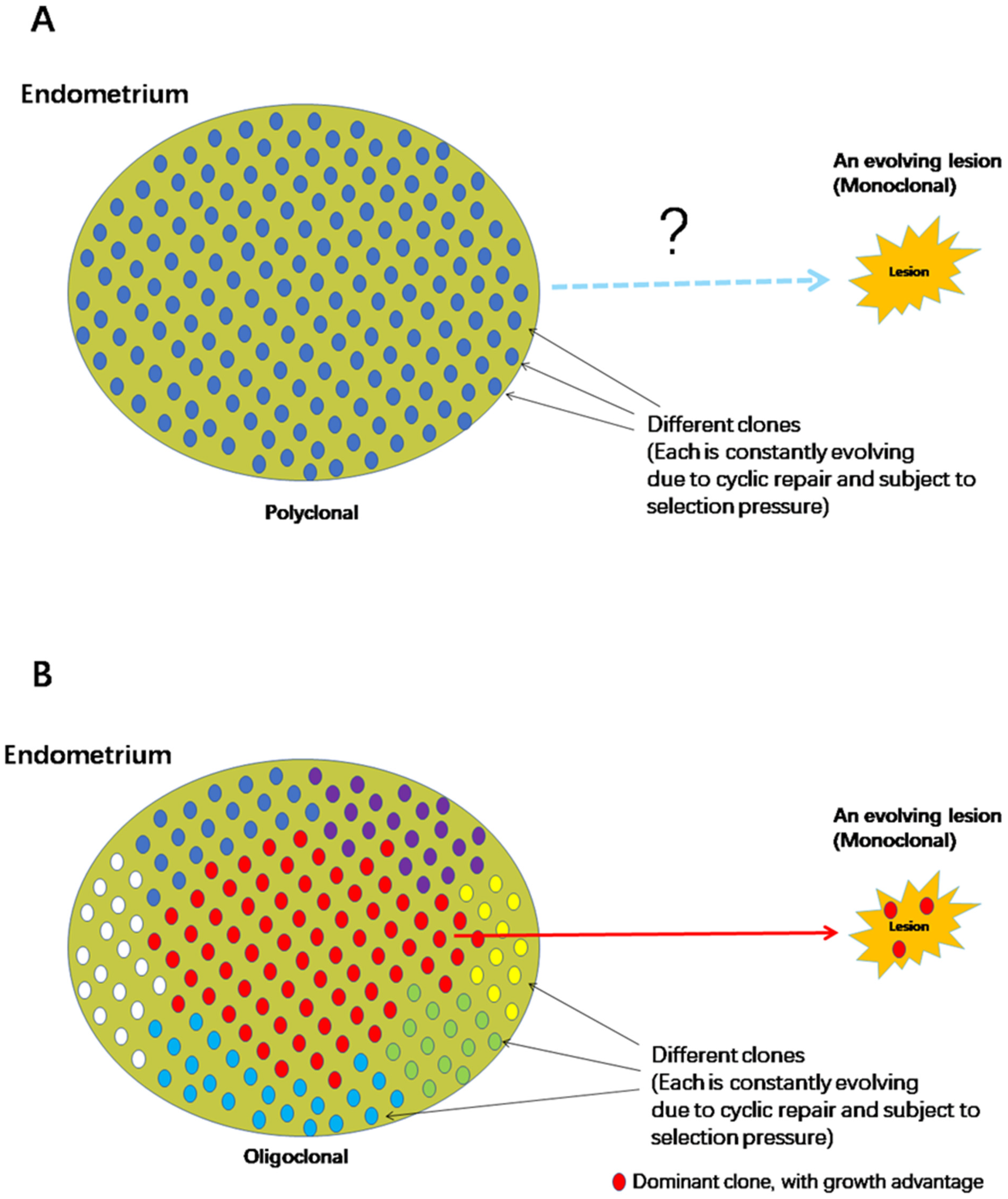 Biomolecules 13 00336 g002