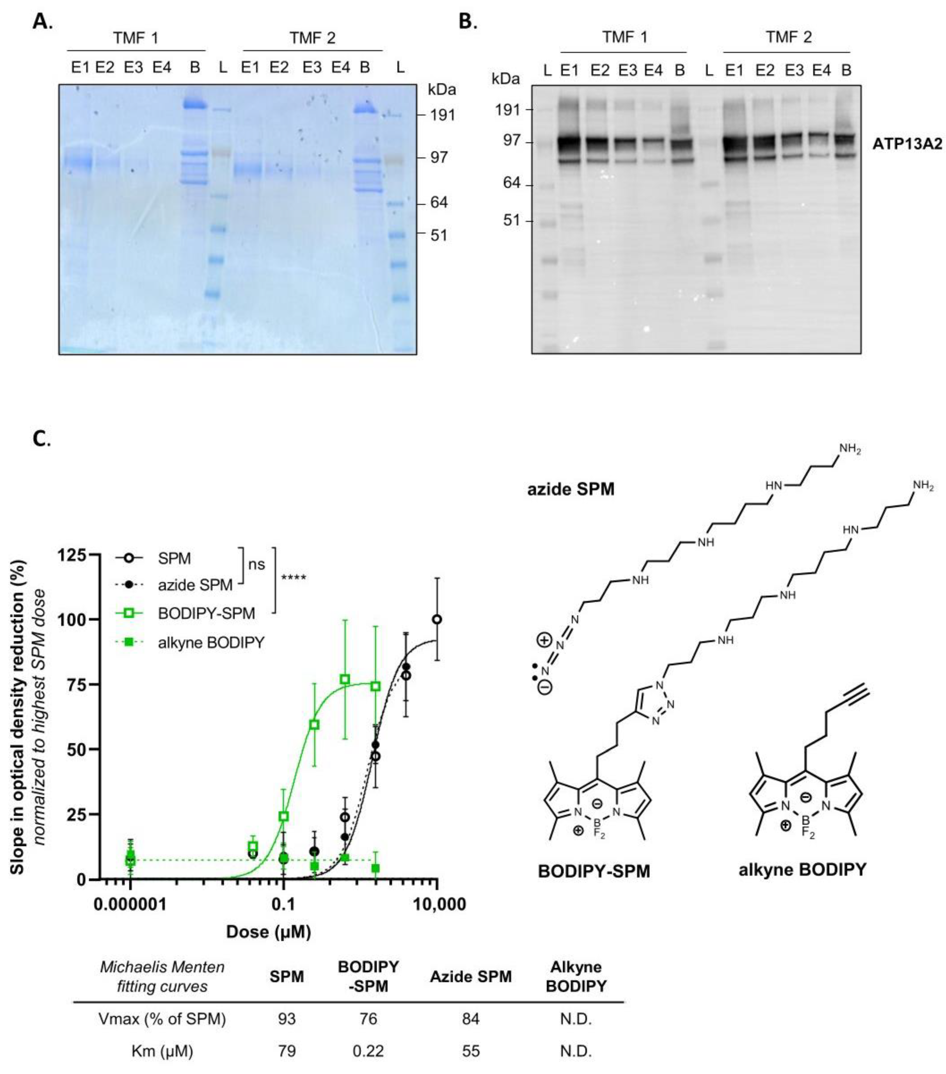 Biomolecules 13 00337 g001