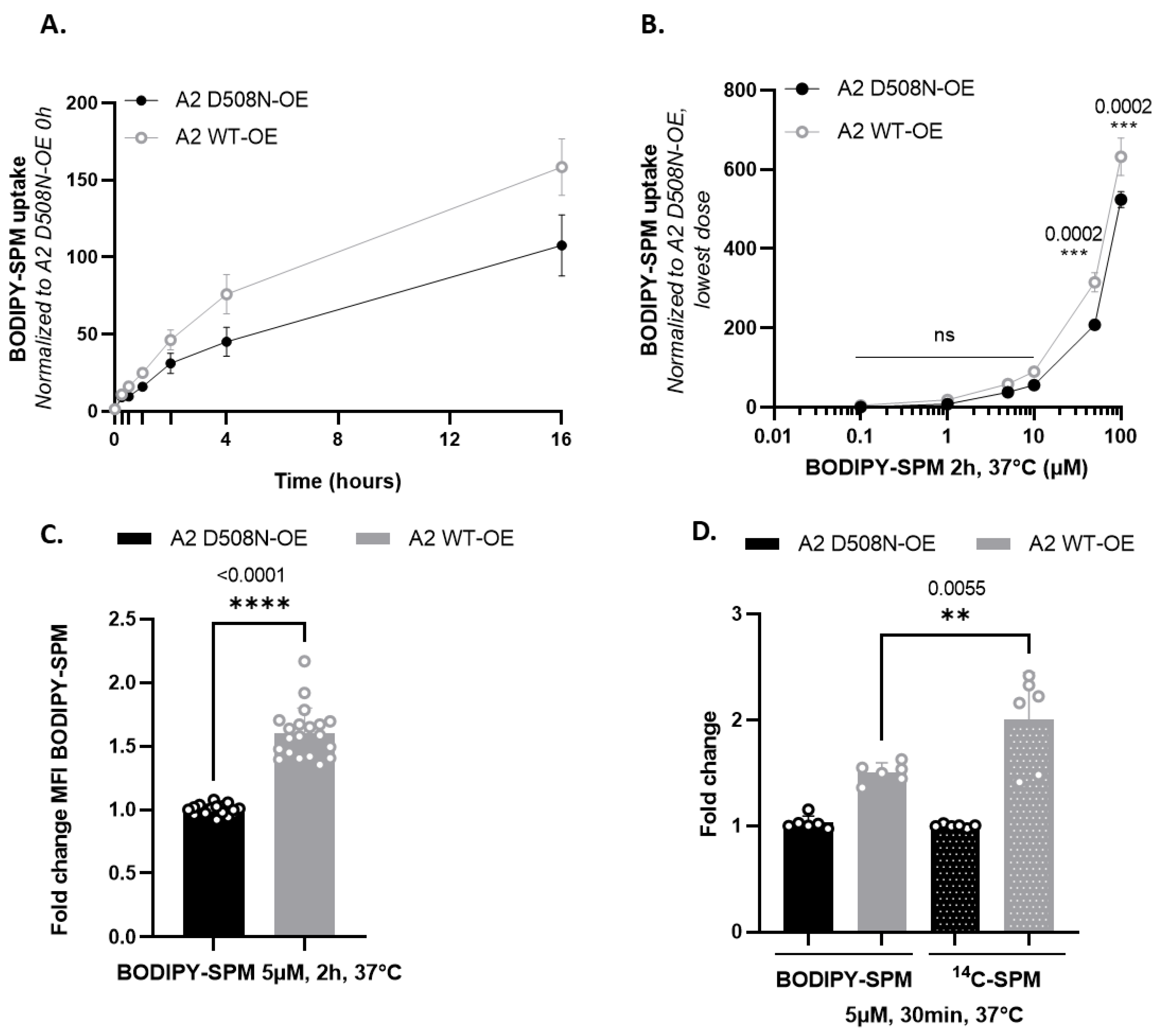 Biomolecules 13 00337 g002
