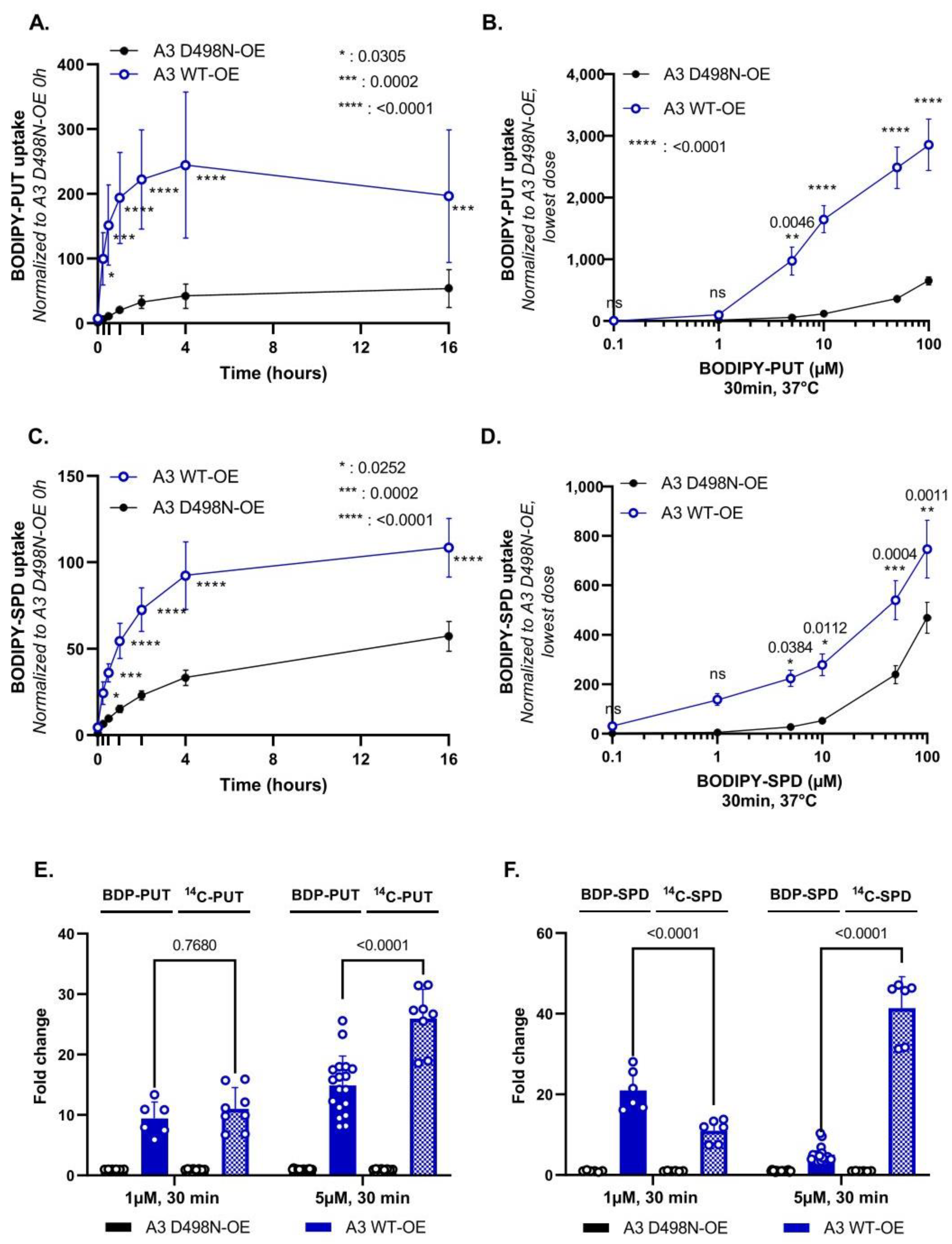 Biomolecules 13 00337 g003