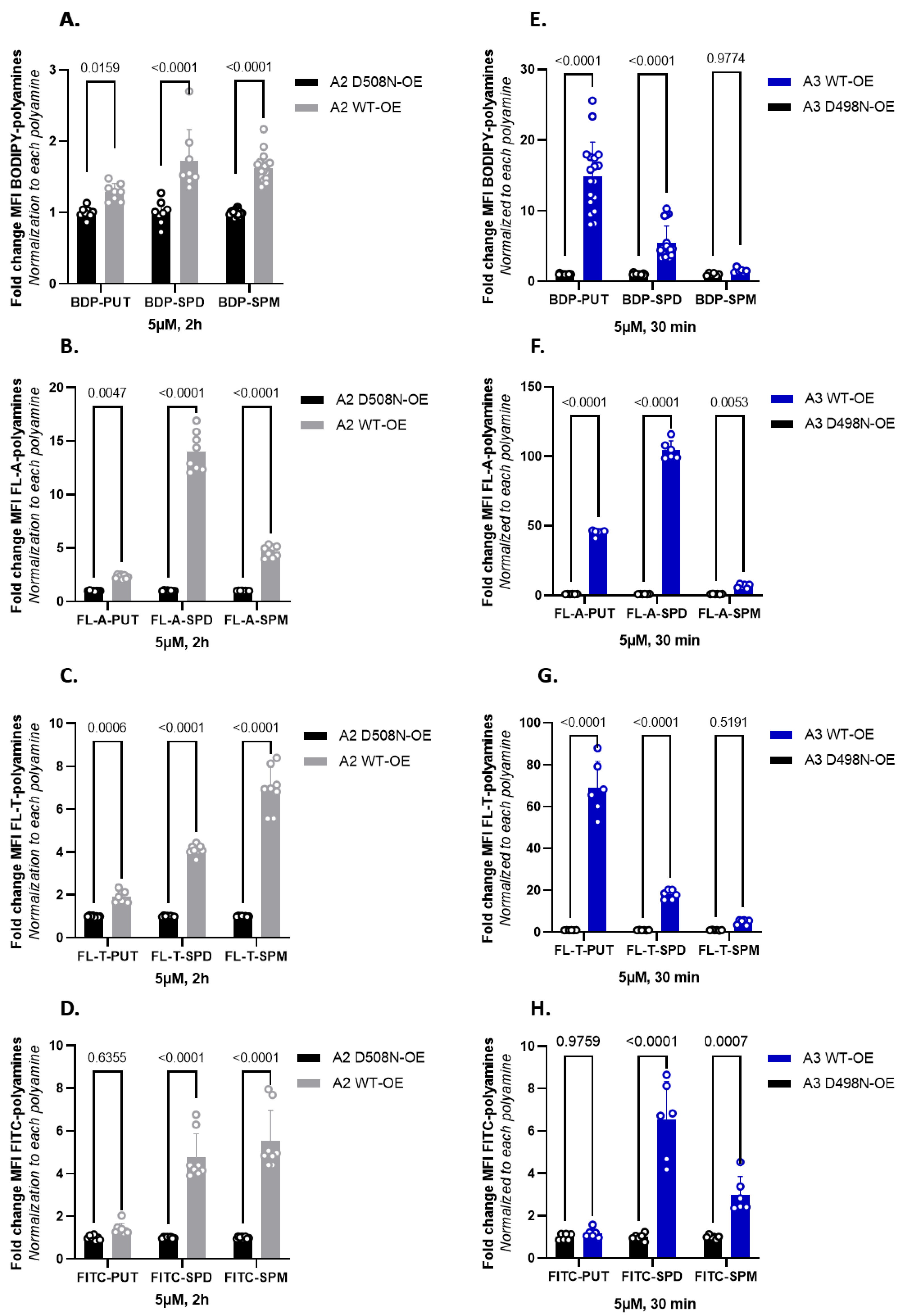Biomolecules 13 00337 g005