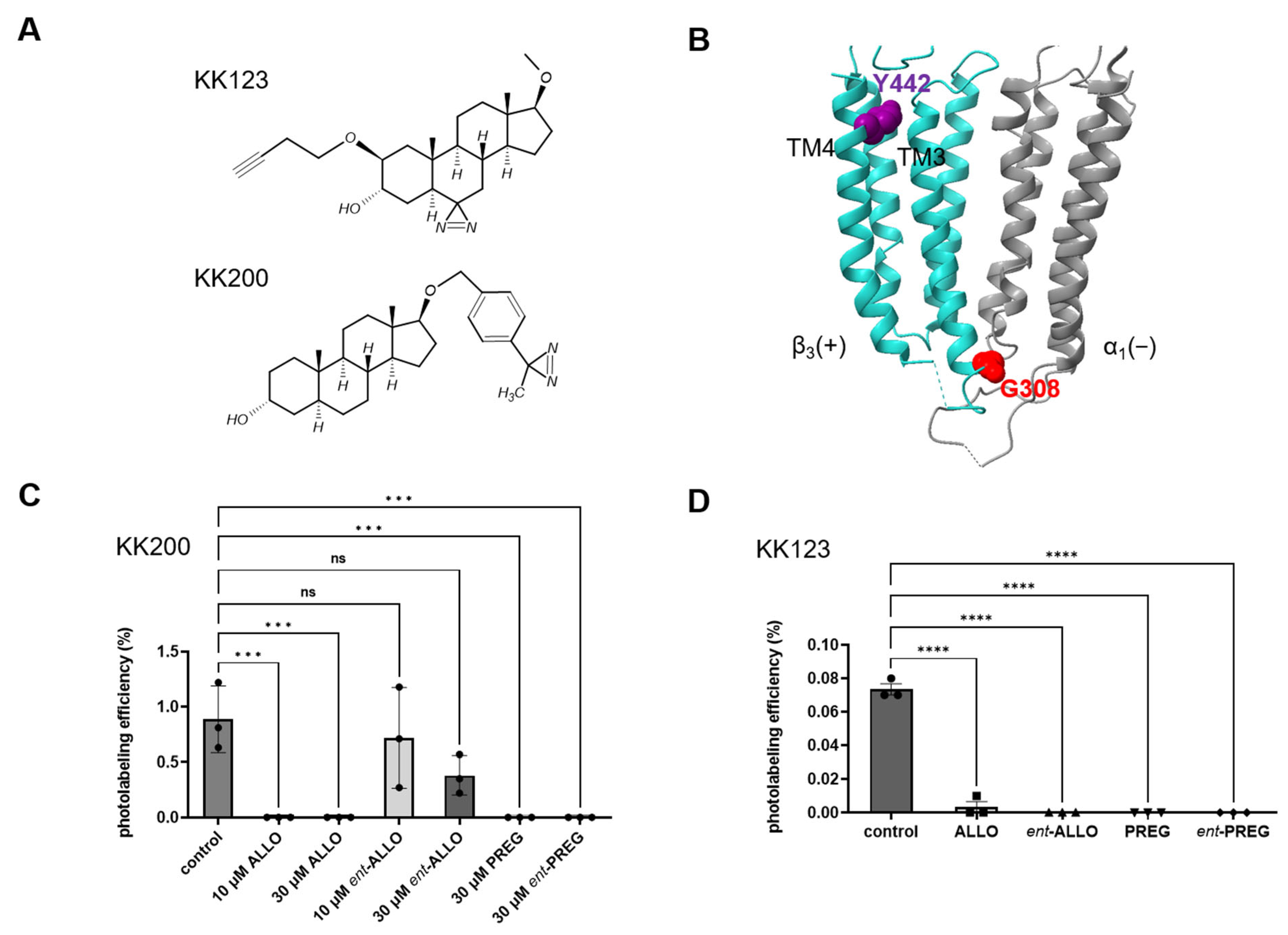 Biomolecules 13 00341 g002