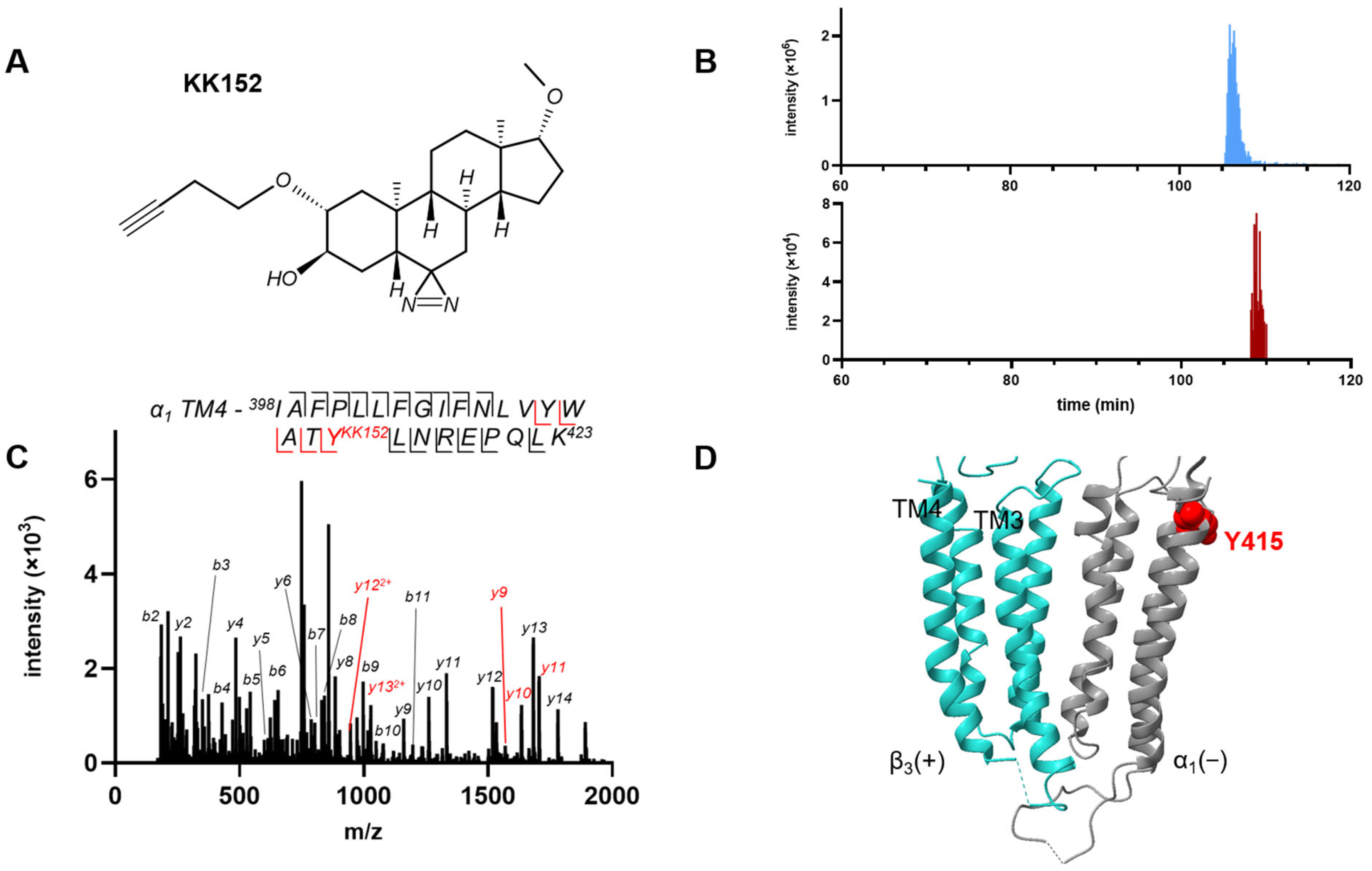 Biomolecules 13 00341 g004