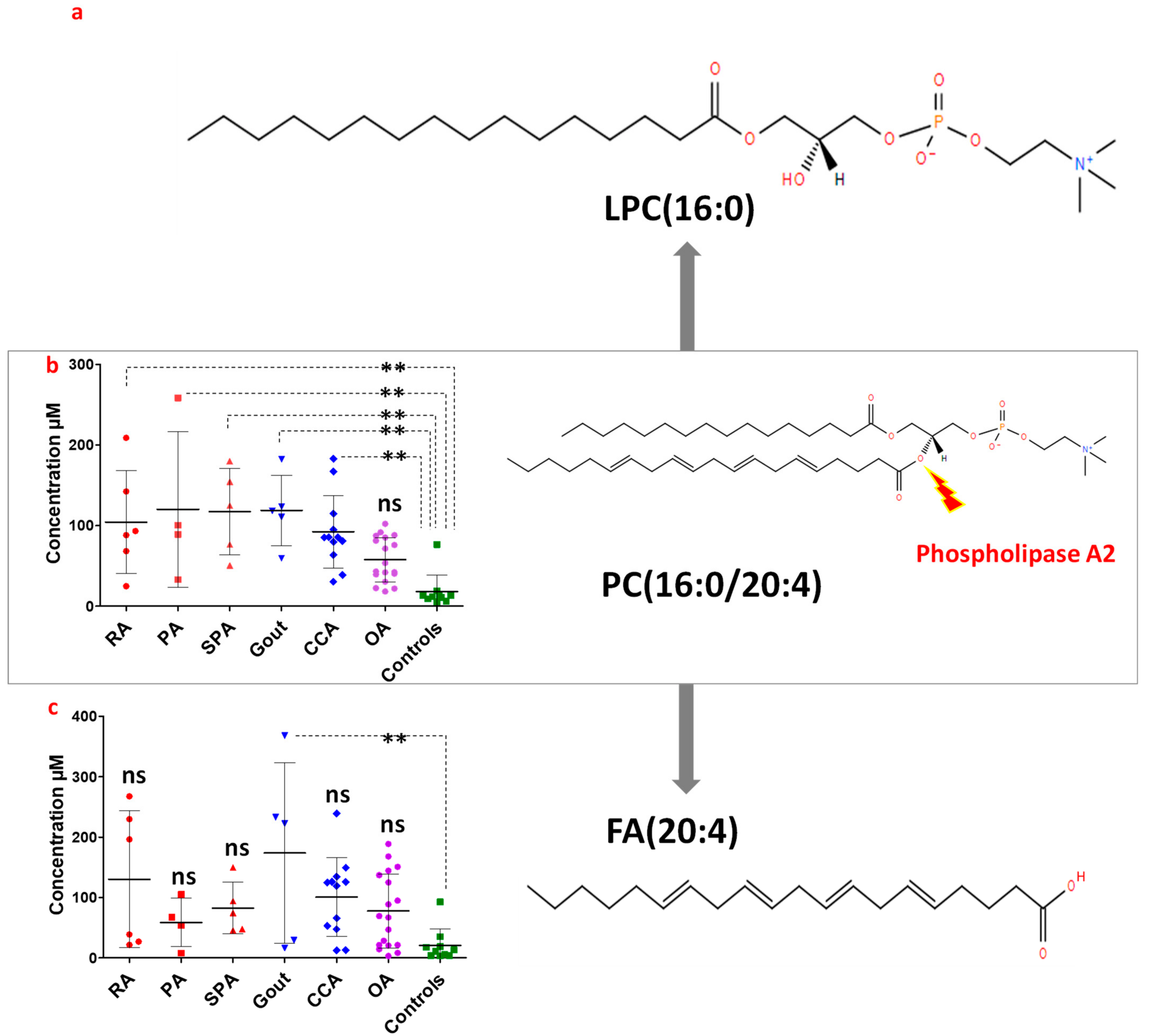 Biomolecules 13 00342 g006 Biomolecules 13 00342 g006
