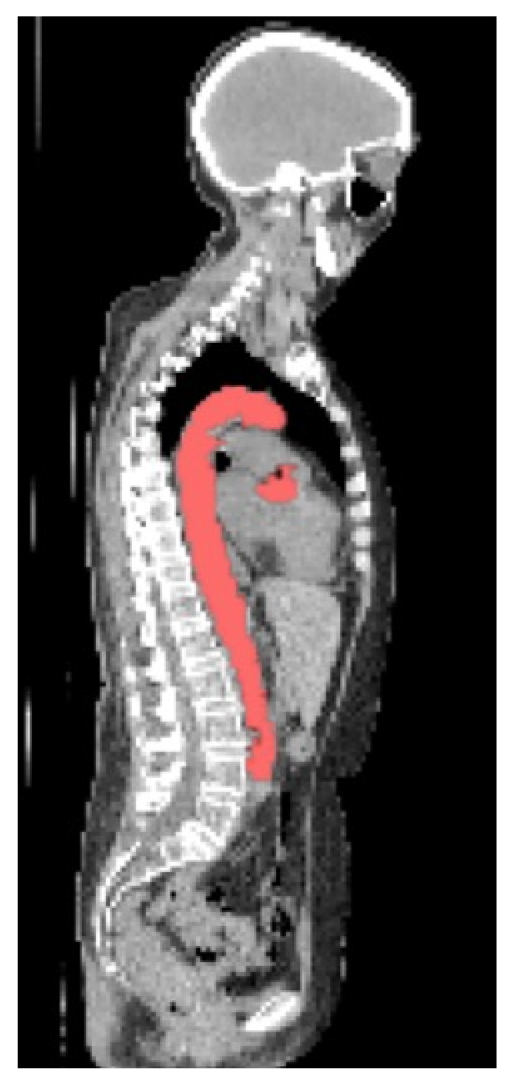 Biomolecules 13 00343 g004