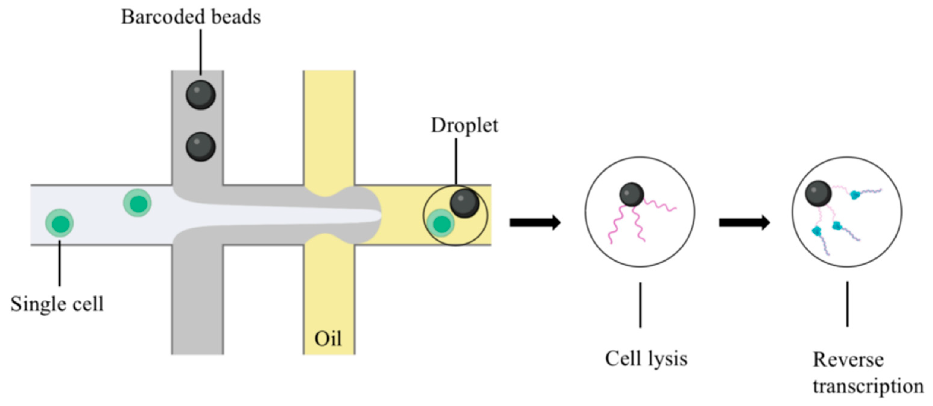 Biomolecules 13 00344 g001 Biomolecules 13 00344 g001