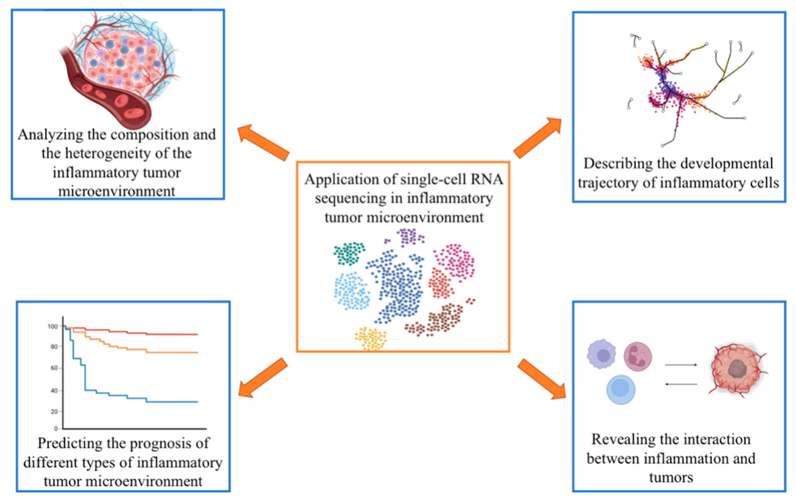 Biomolecules 13 00344 g002 Biomolecules 13 00344 g002