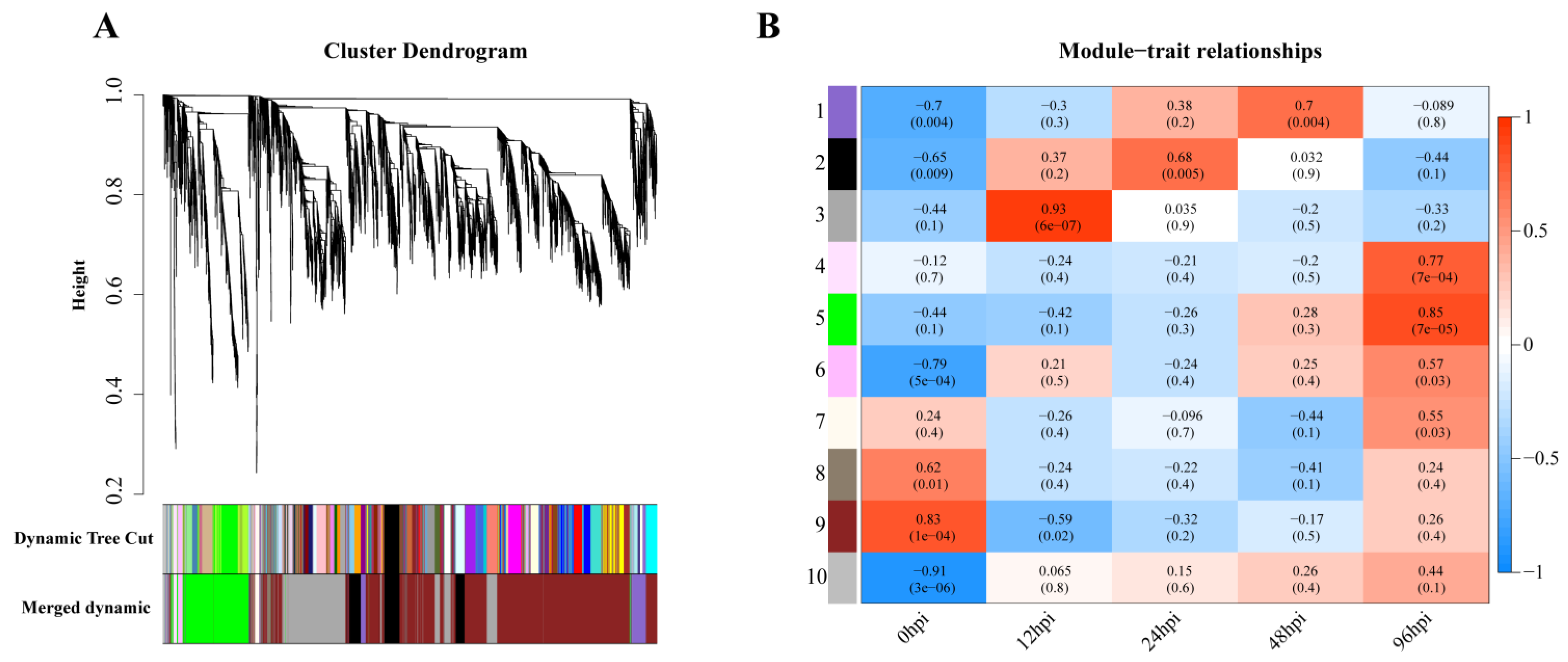 Biomolecules 13 00347 g004
