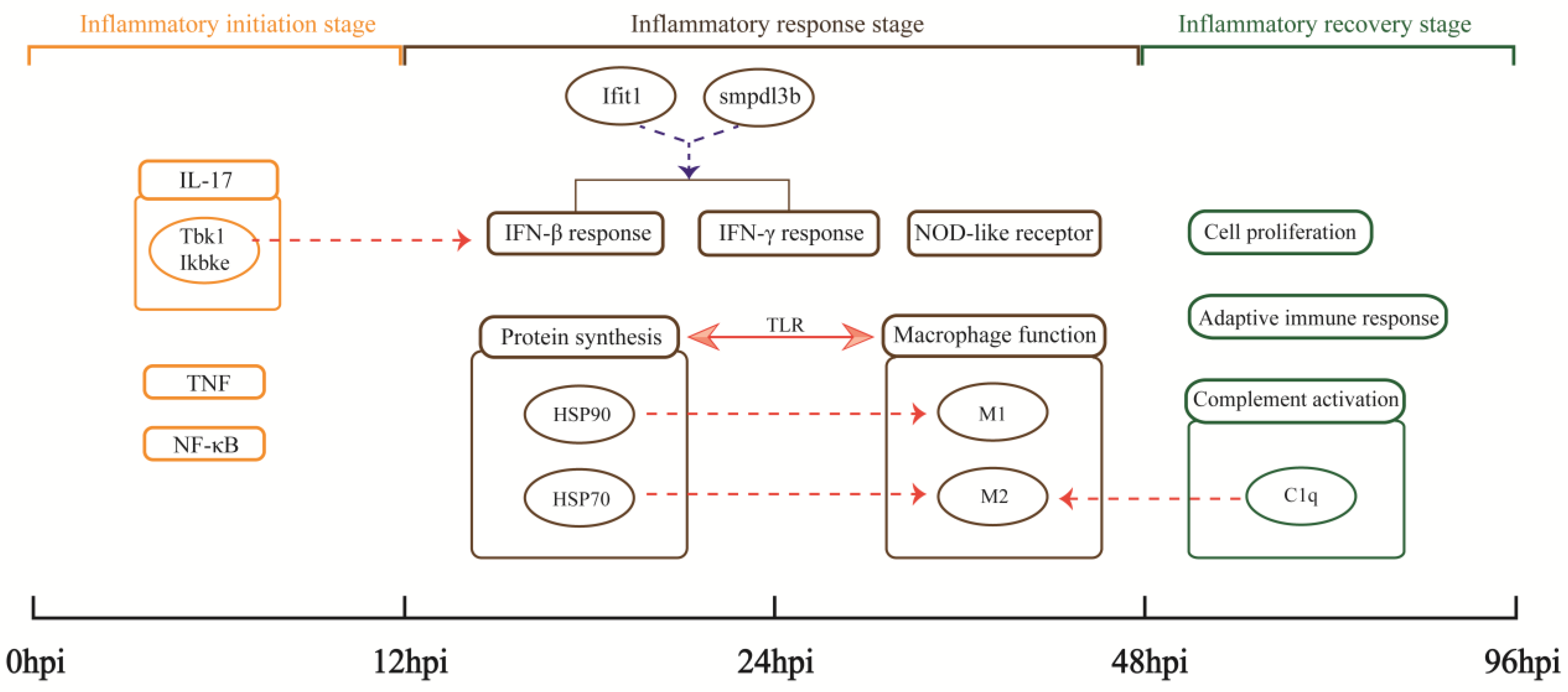 Biomolecules 13 00347 g008
