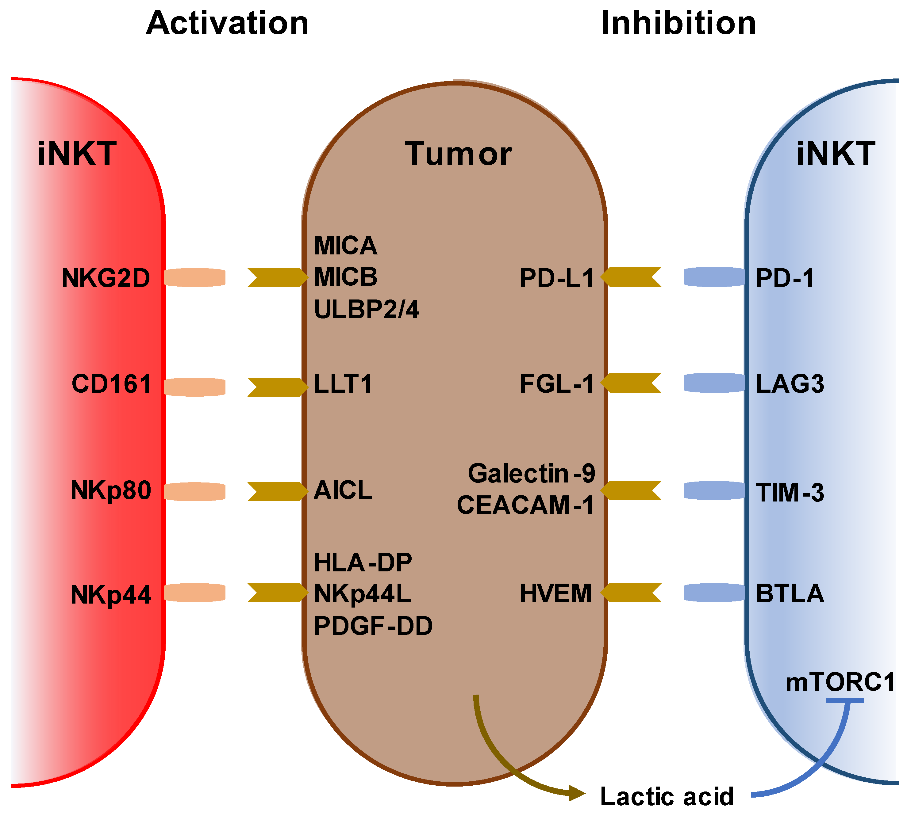 Biomolecules 13 00348 g001