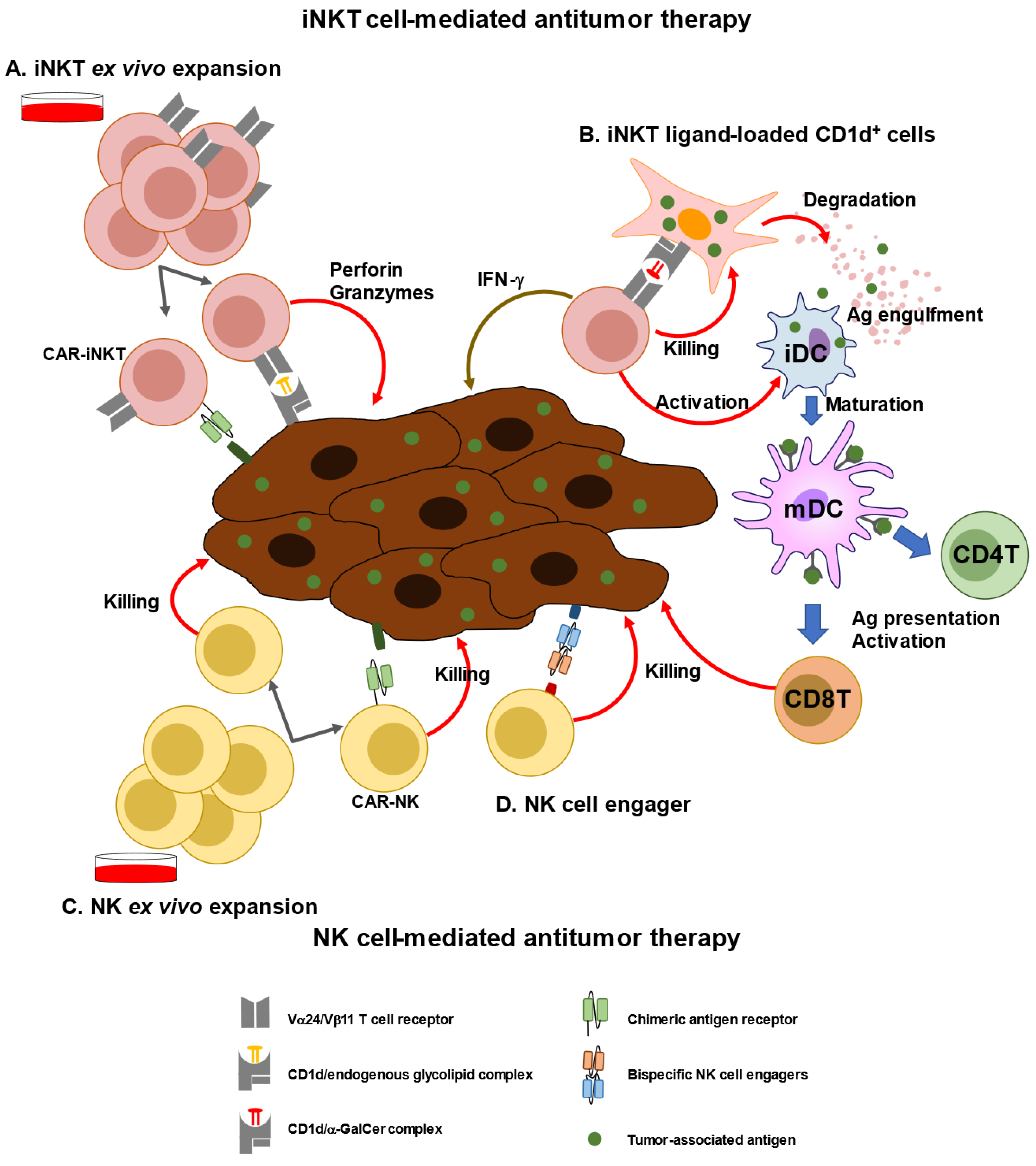 Biomolecules 13 00348 g002