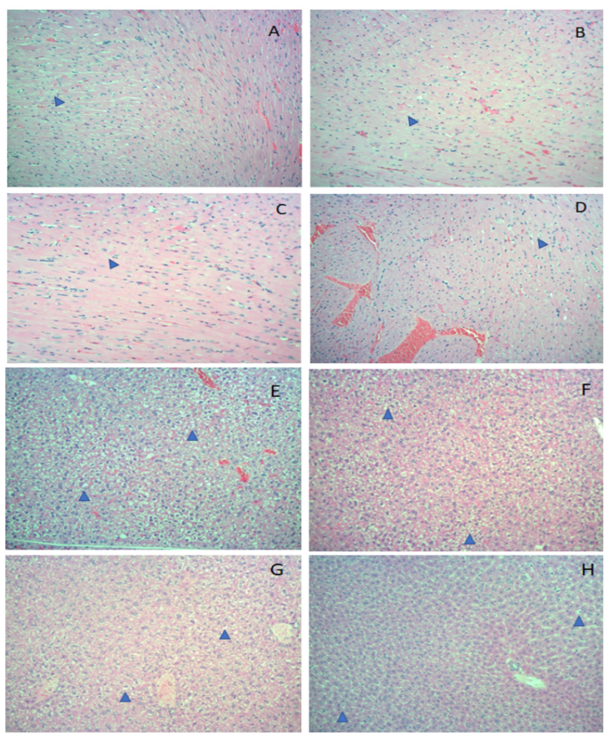 Biomolecules 13 00349 g002