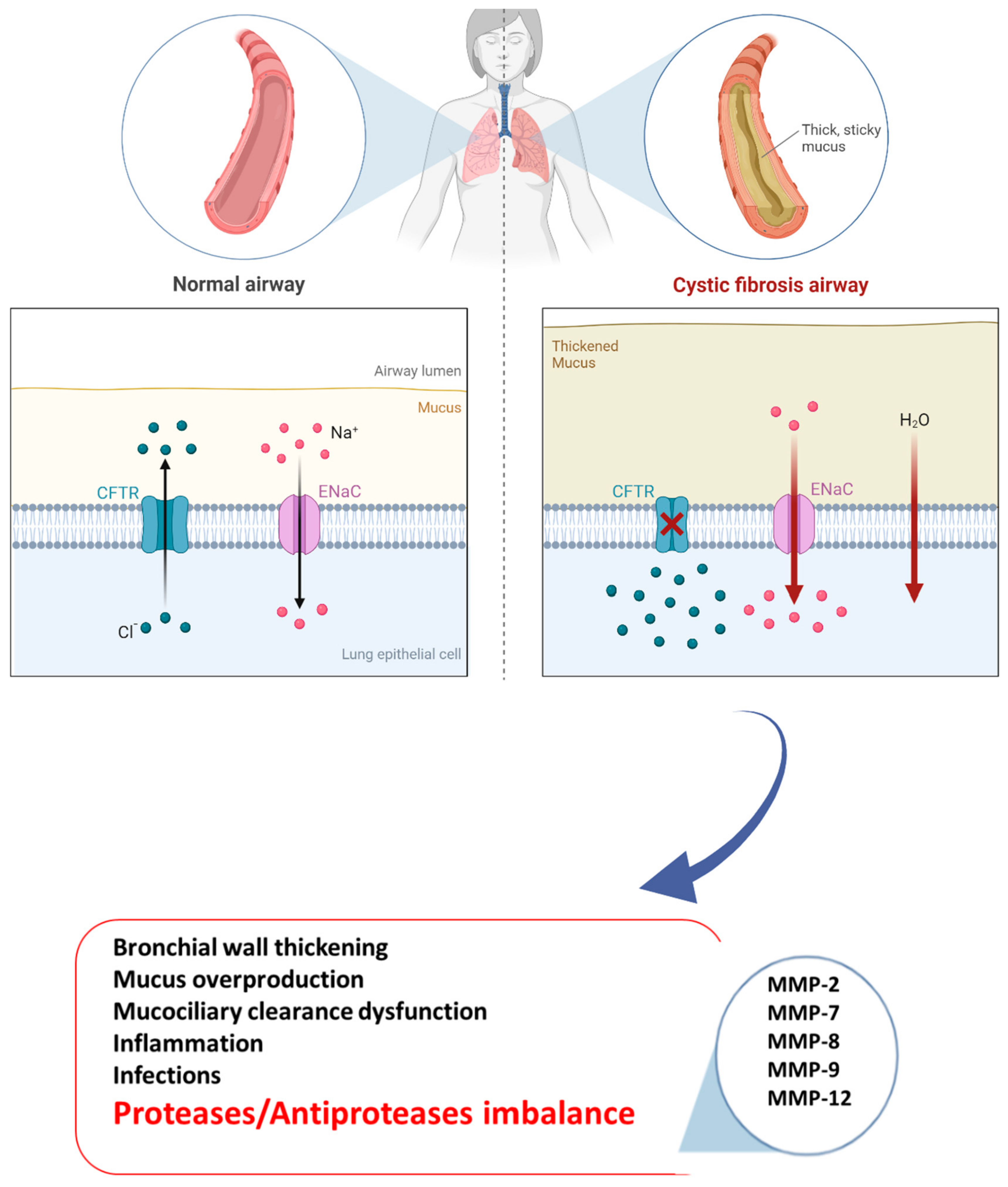Biomolecules 13 00350 g001
