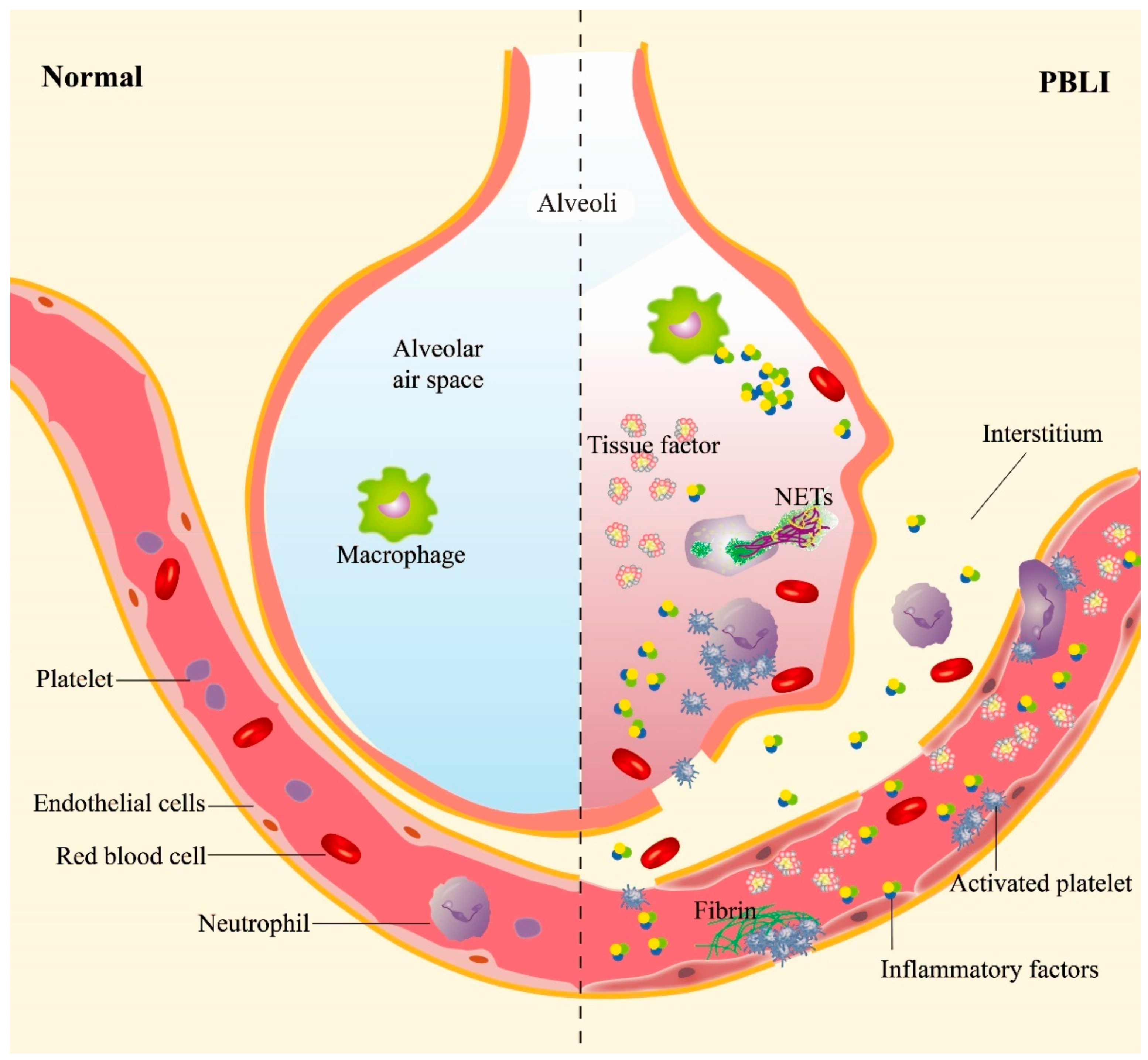 Biomolecules 13 00351 g001