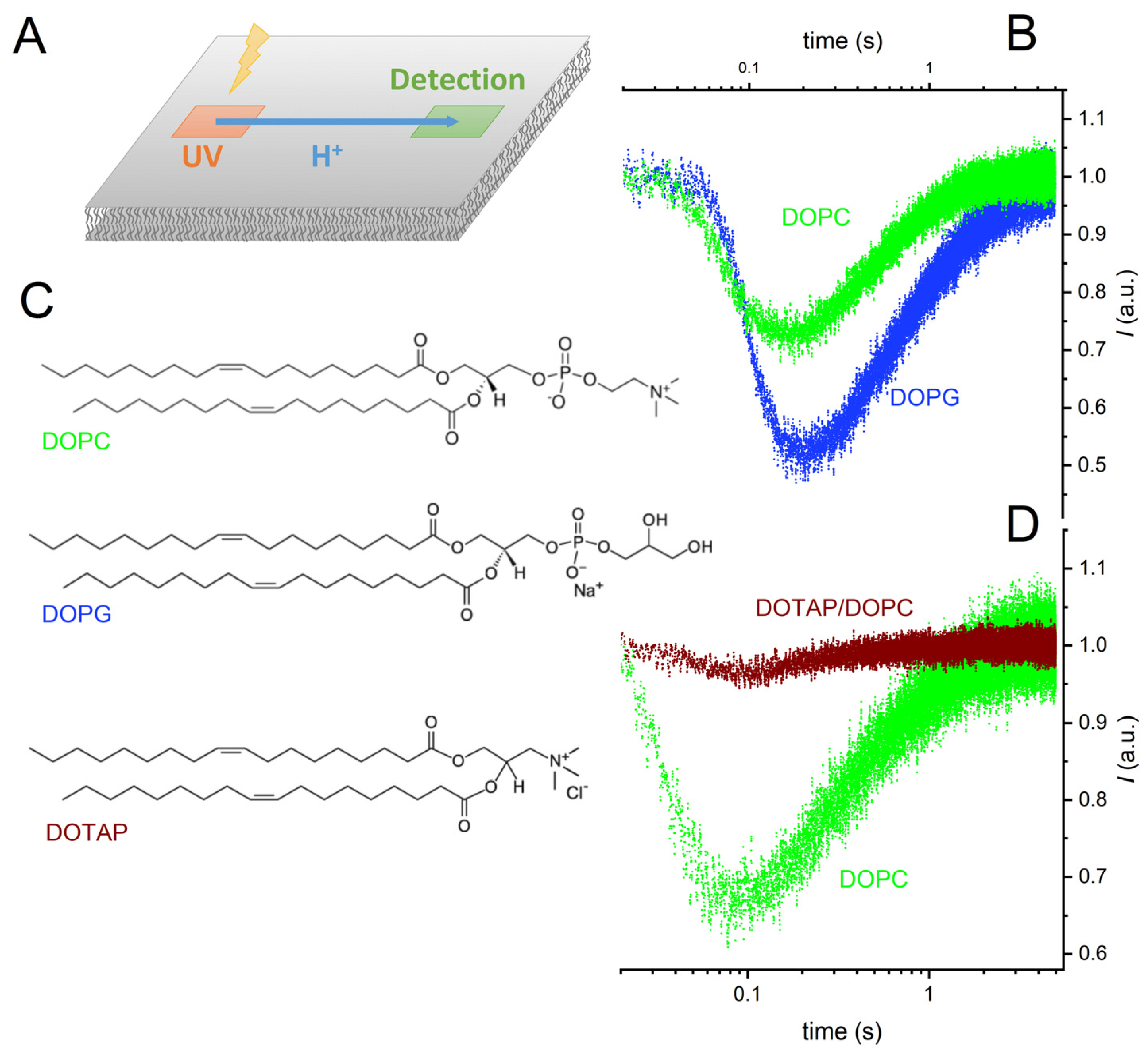 Biomolecules 13 00352 g001