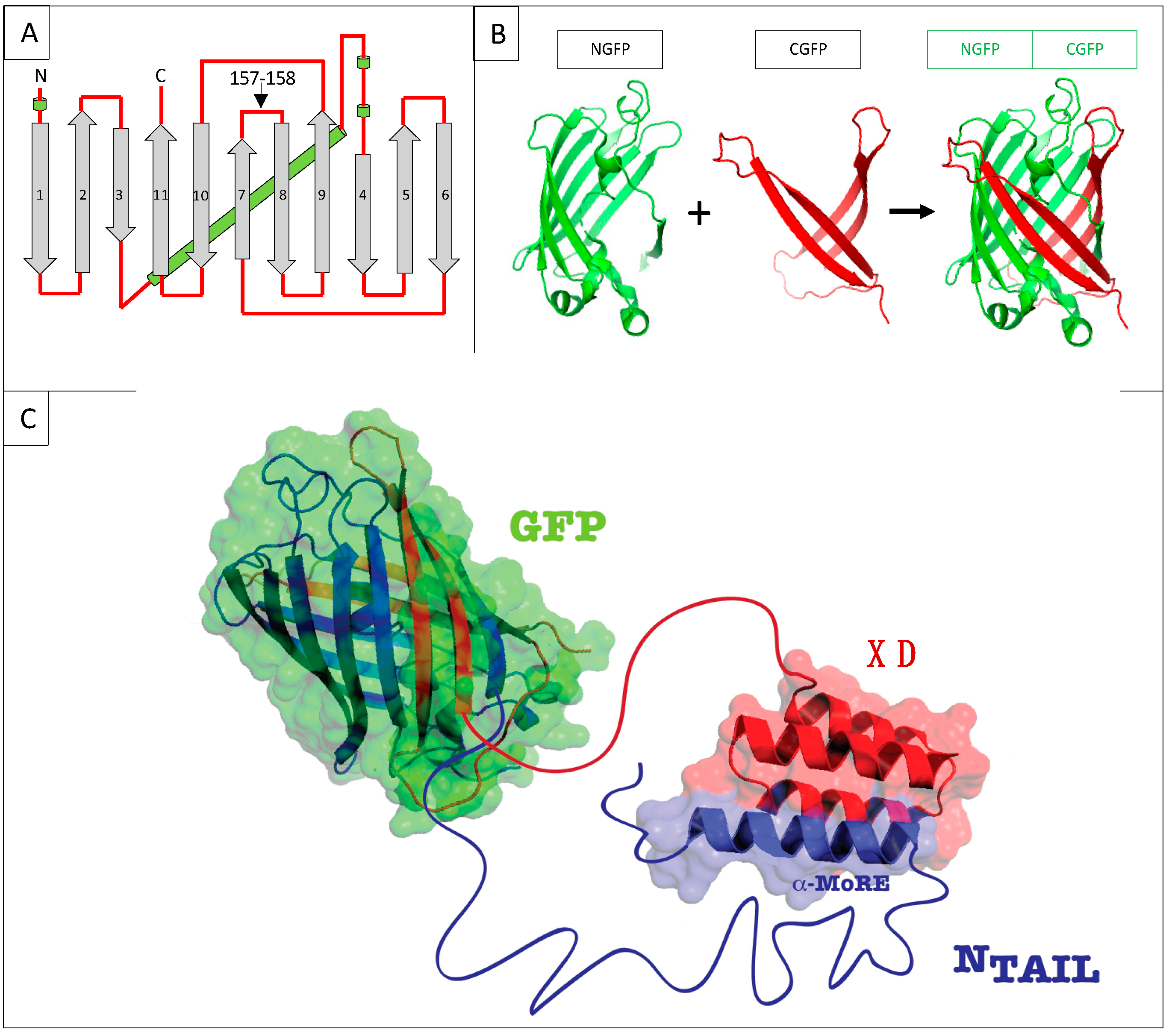 Biomolecules 13 00354 g001