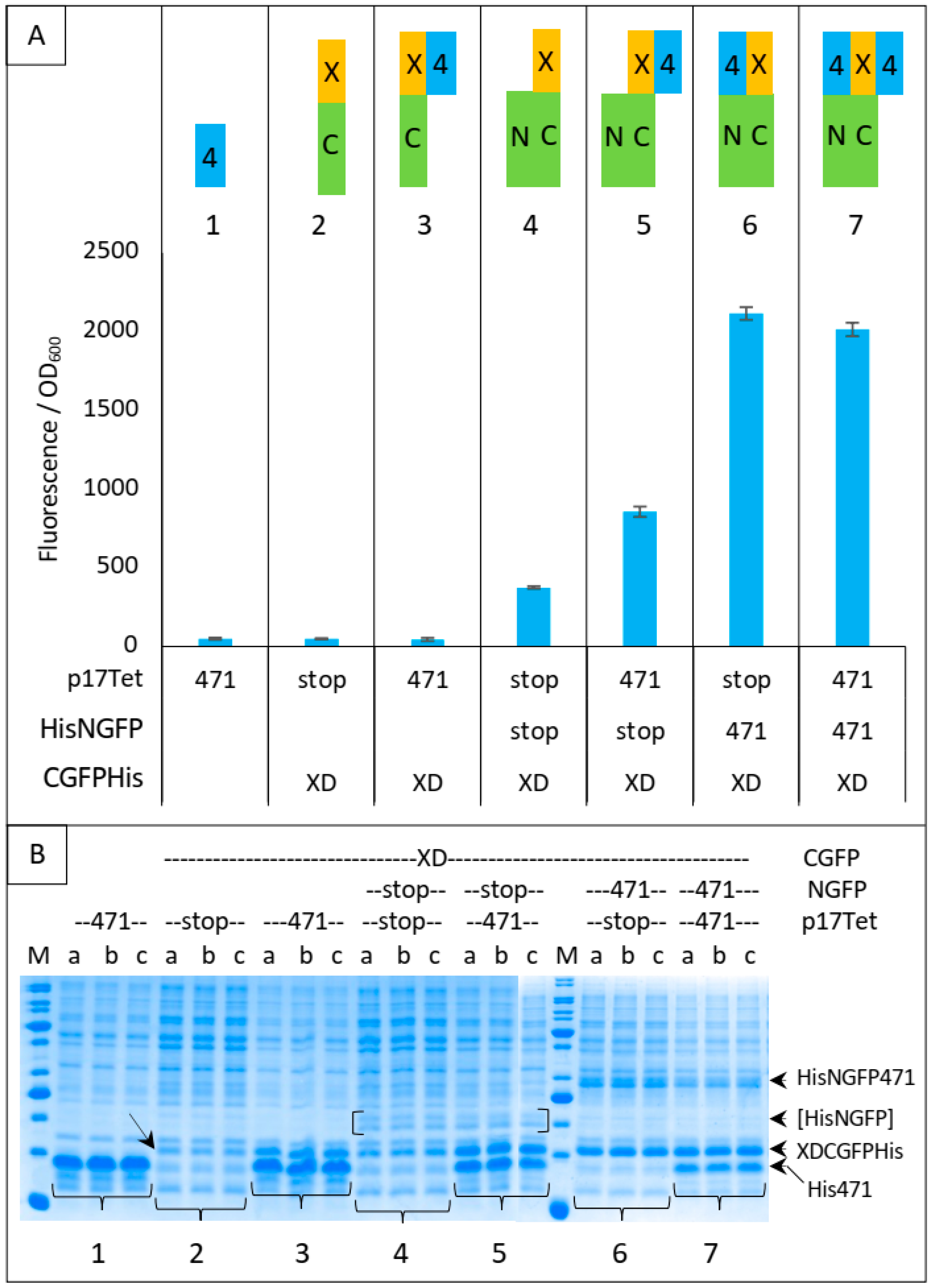 Biomolecules 13 00354 g005