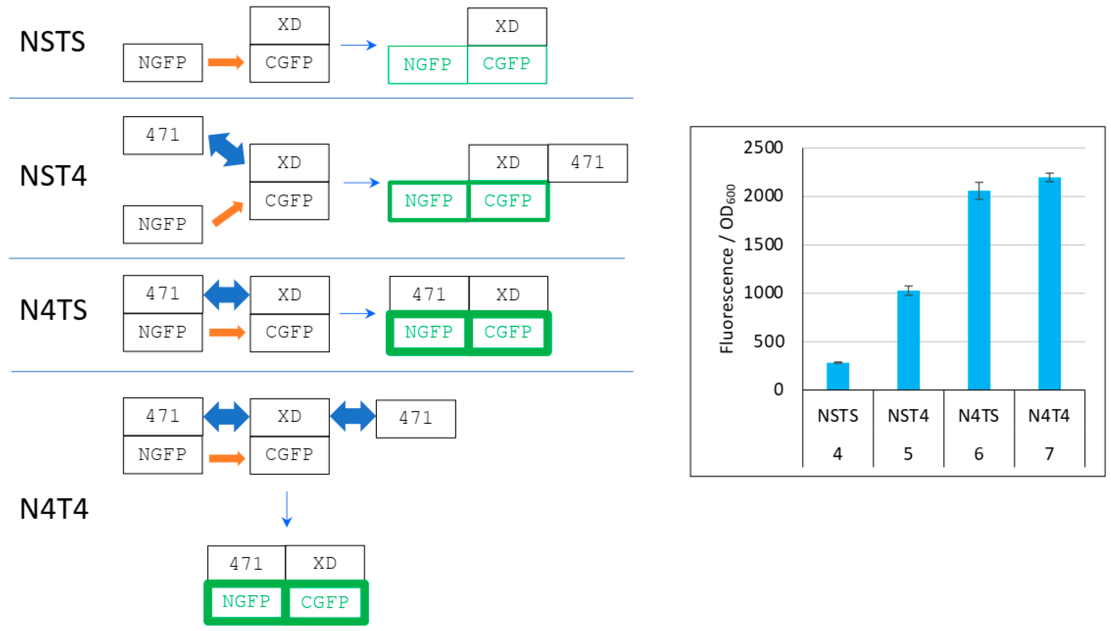 Biomolecules 13 00354 g006