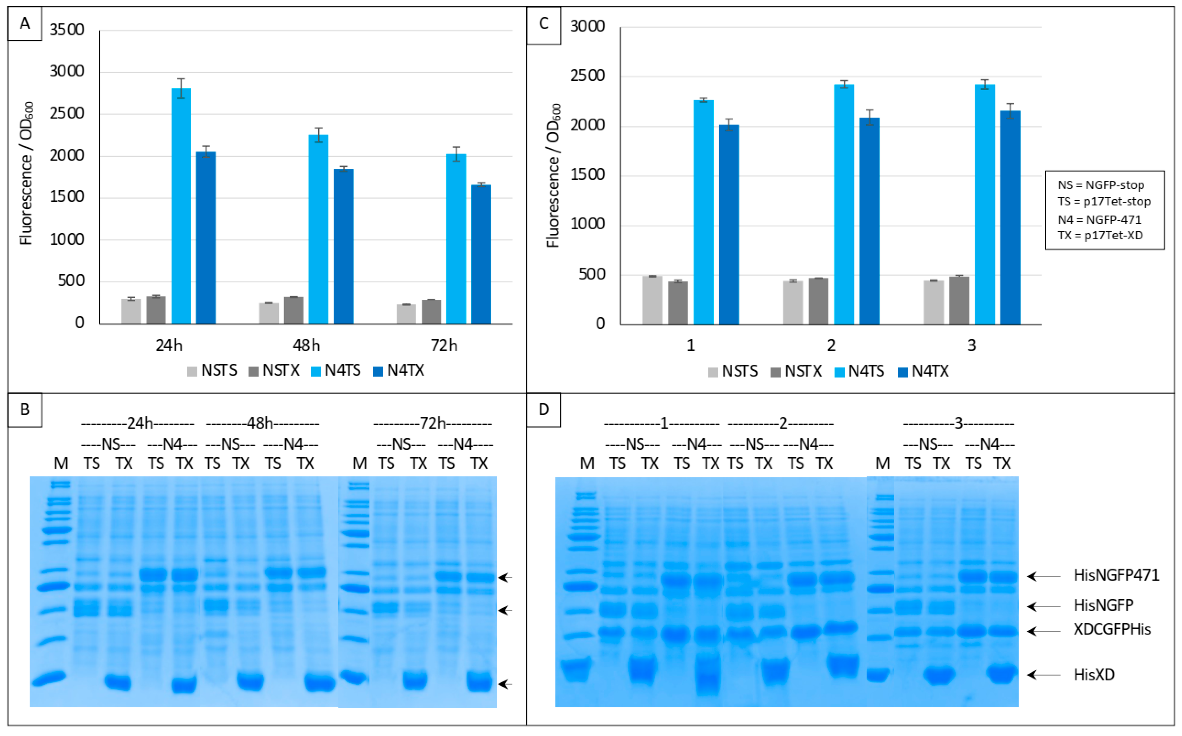 Biomolecules 13 00354 g007