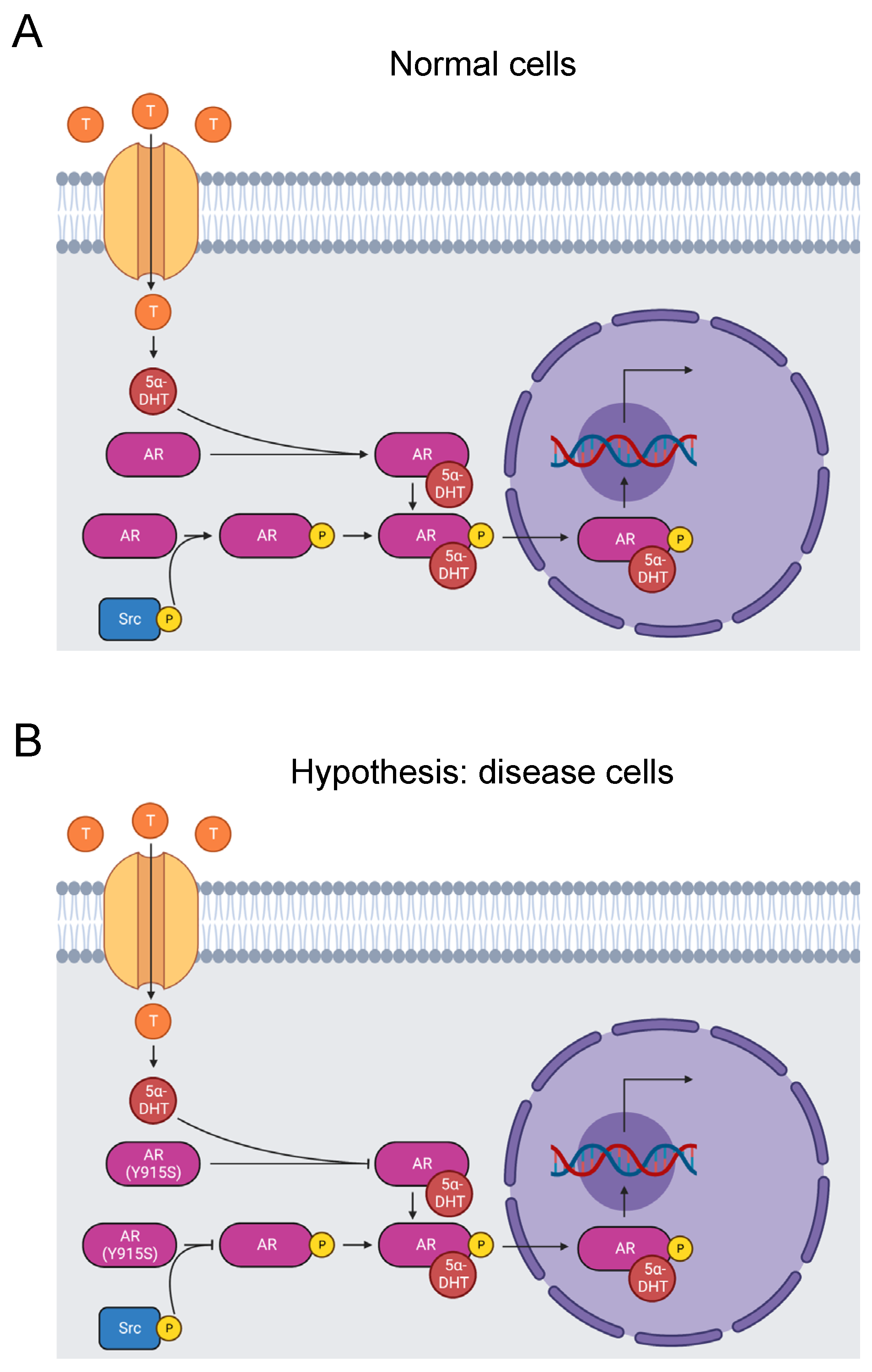 Biomolecules 13 00355 g002 Biomolecules 13 00355 g002