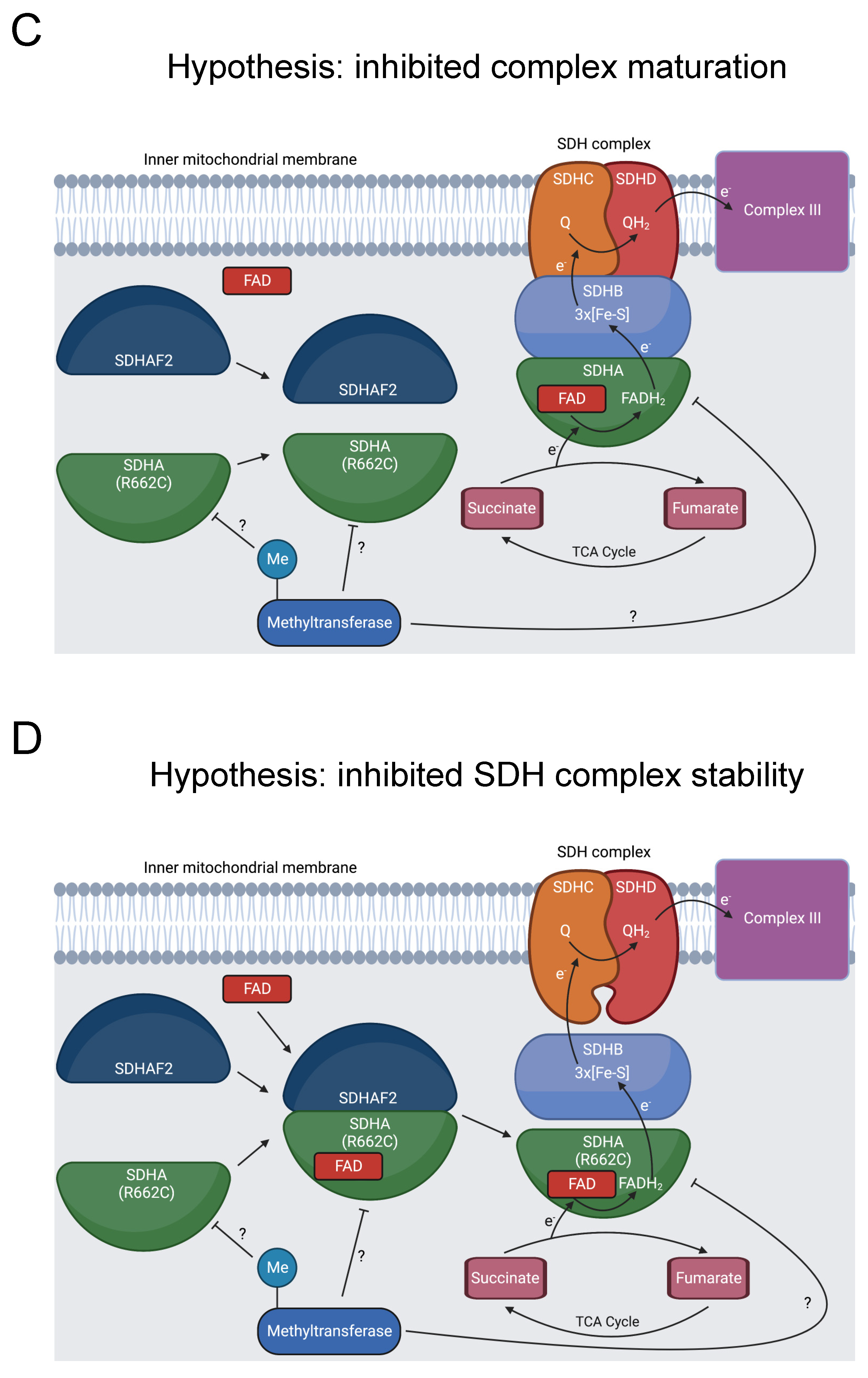 Biomolecules 13 00355 g007b Biomolecules 13 00355 g007b