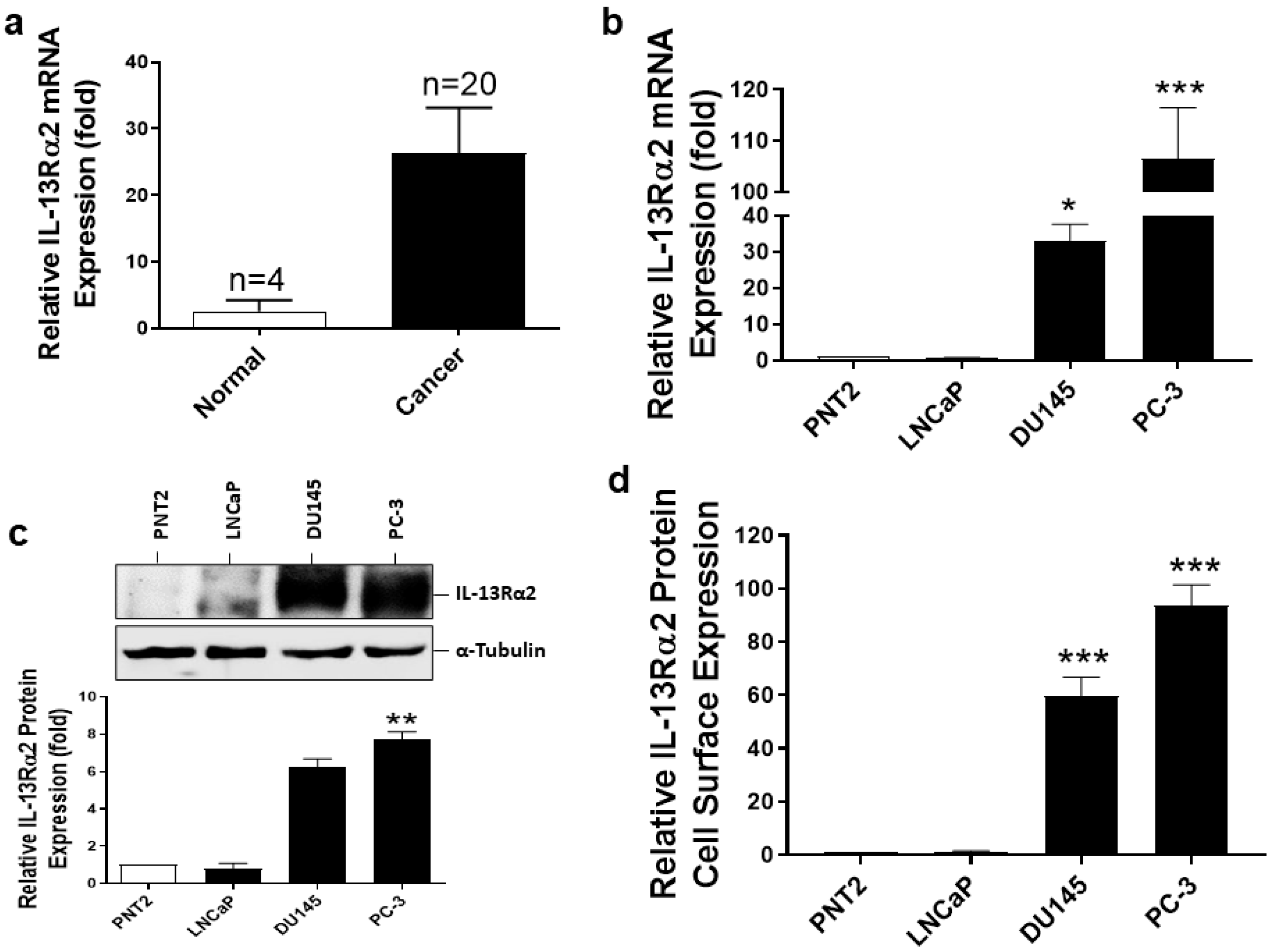 Biomolecules 13 00356 g001