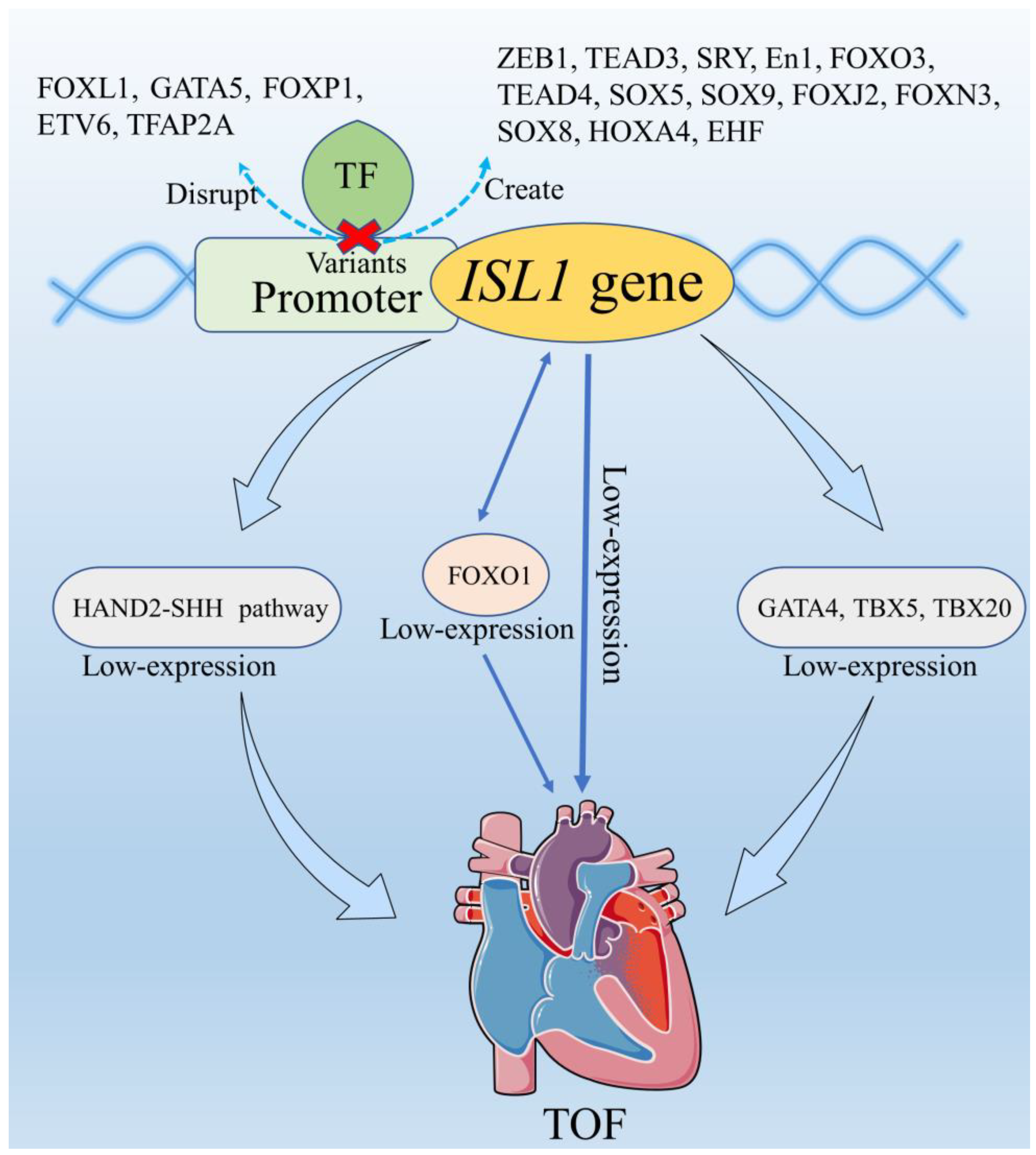 Biomolecules 13 00358 g005
